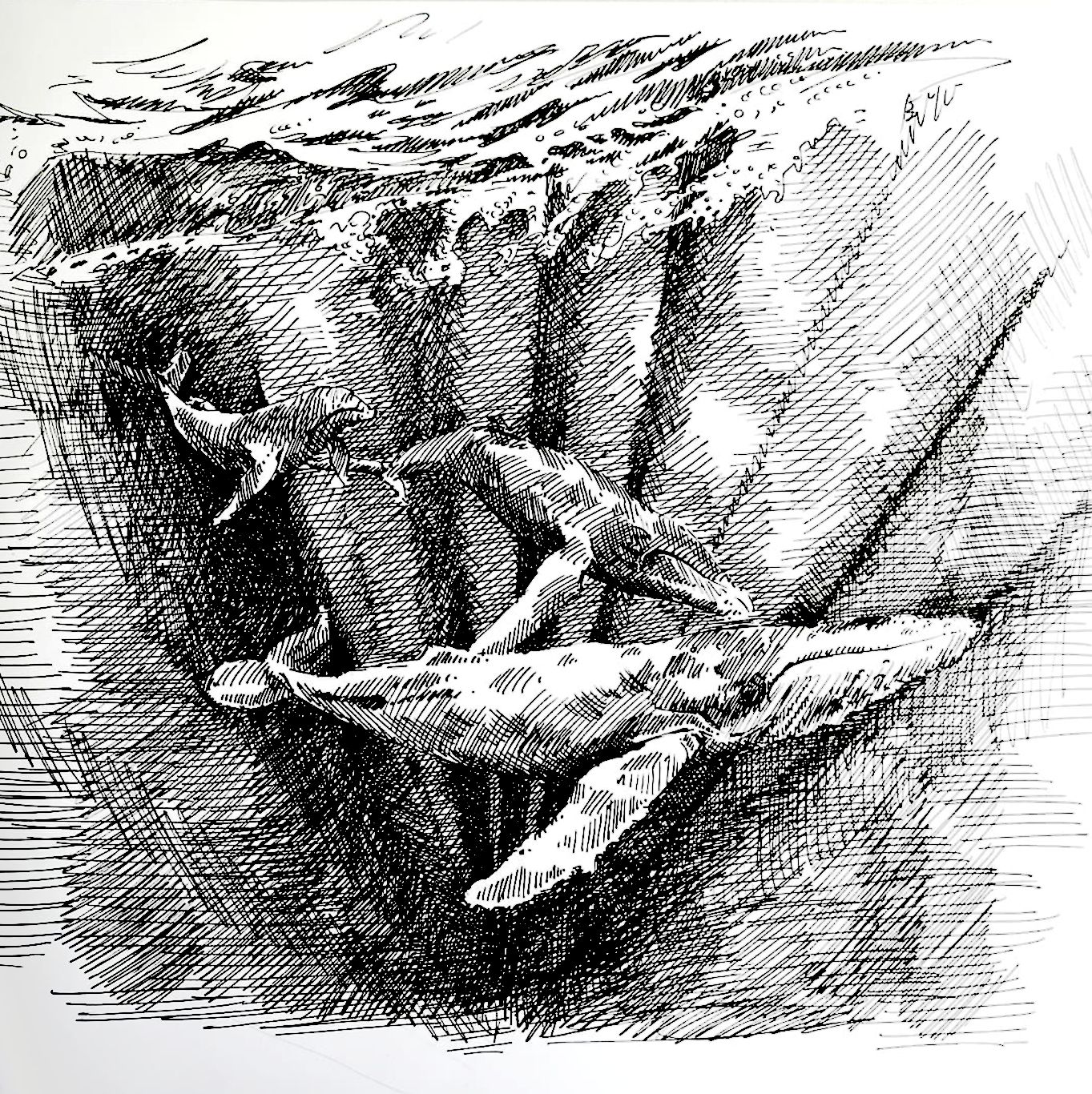 Whales