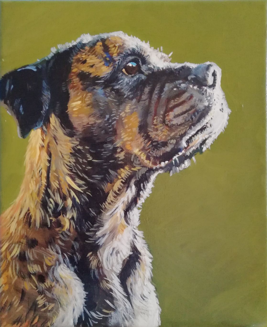 mastiff_portrait_oil.jpeg