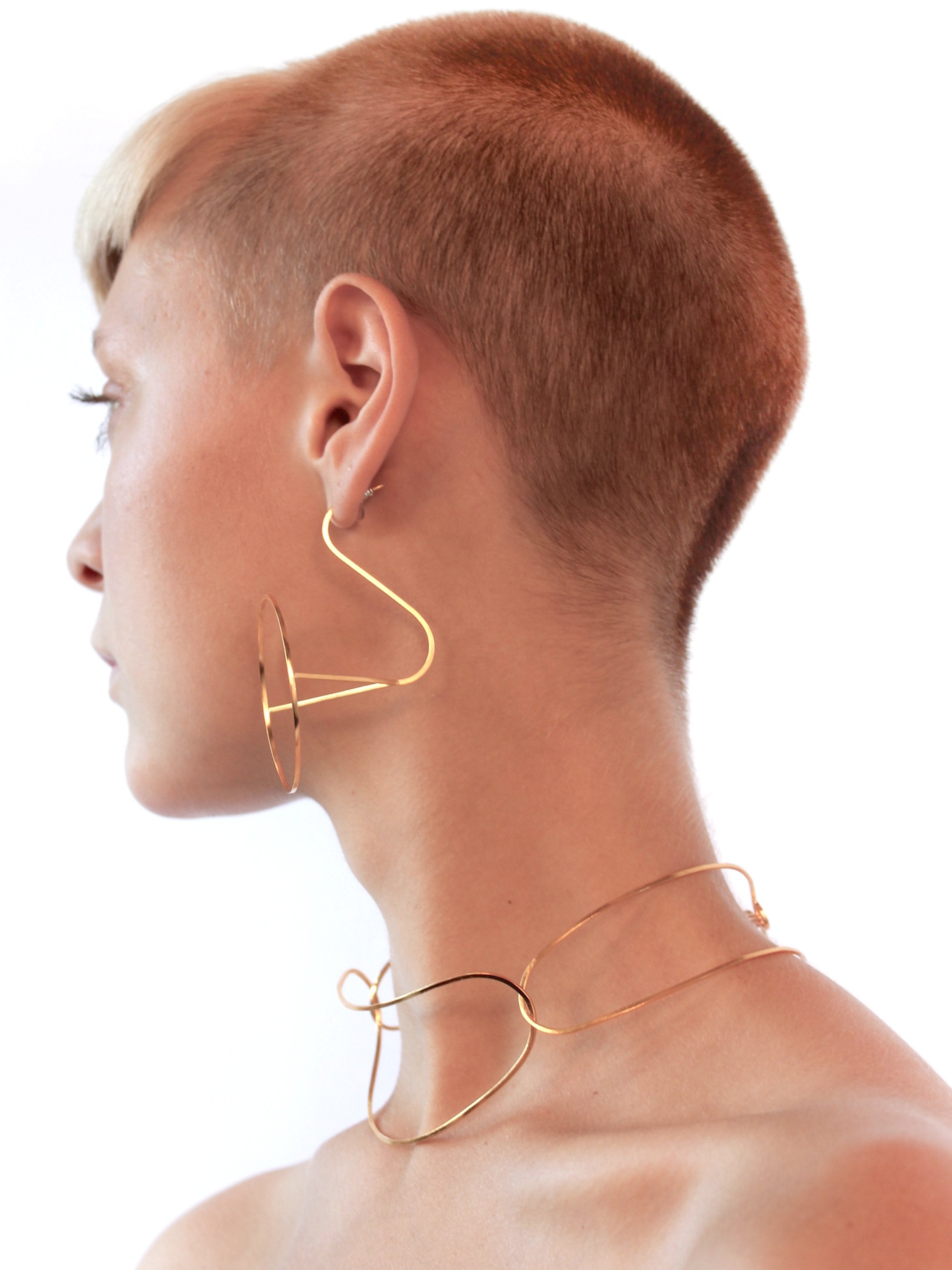 modelhoverhoopsand3linkchain.jpg