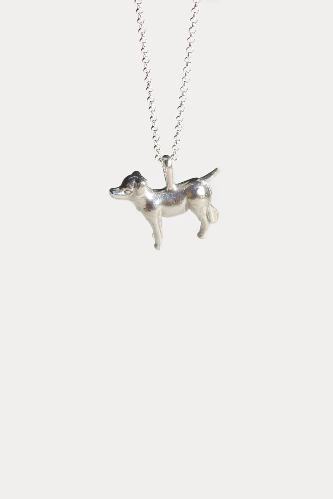 brightdog7.jpg