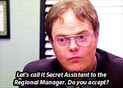 Image result for assistant to the regional manager gif