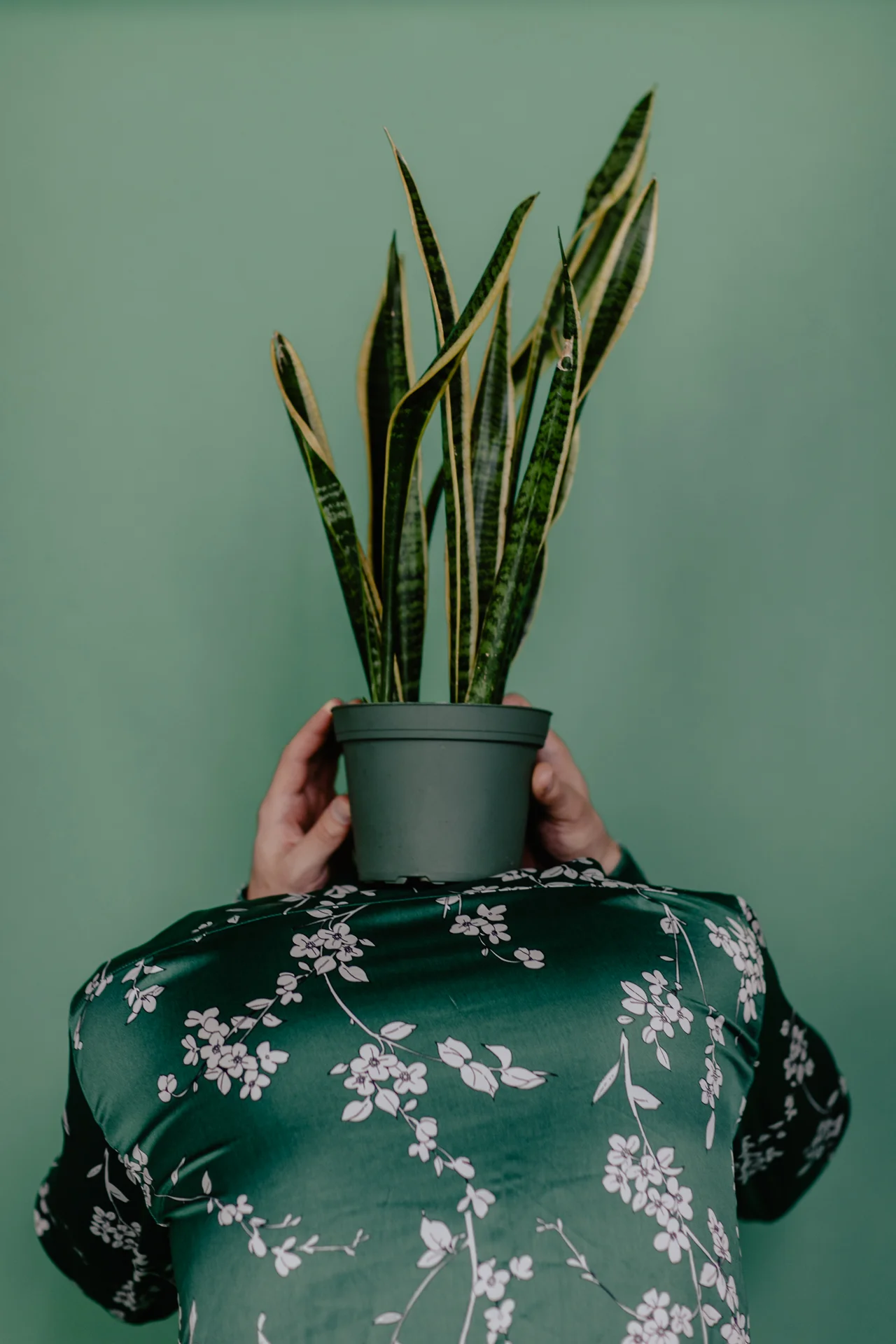 Single Hue Dominance-7746.jpg