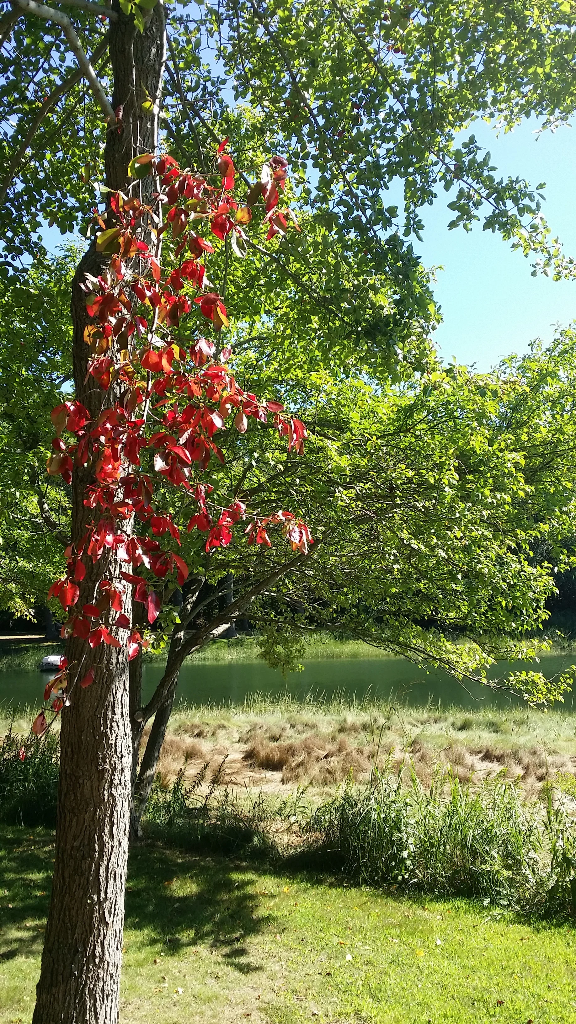 Loving Someone with Depression and Anxiety