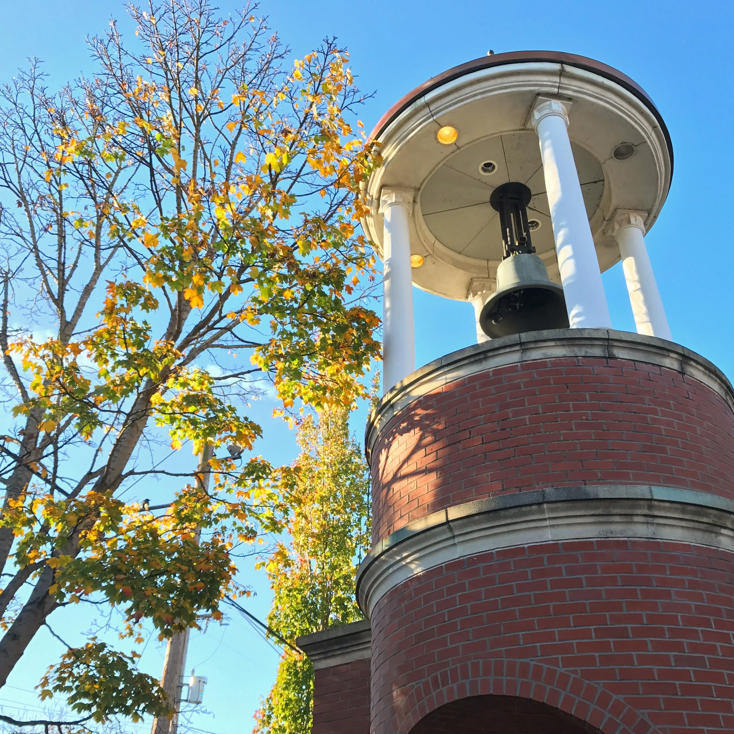 The Sneaky Danger of "Should"