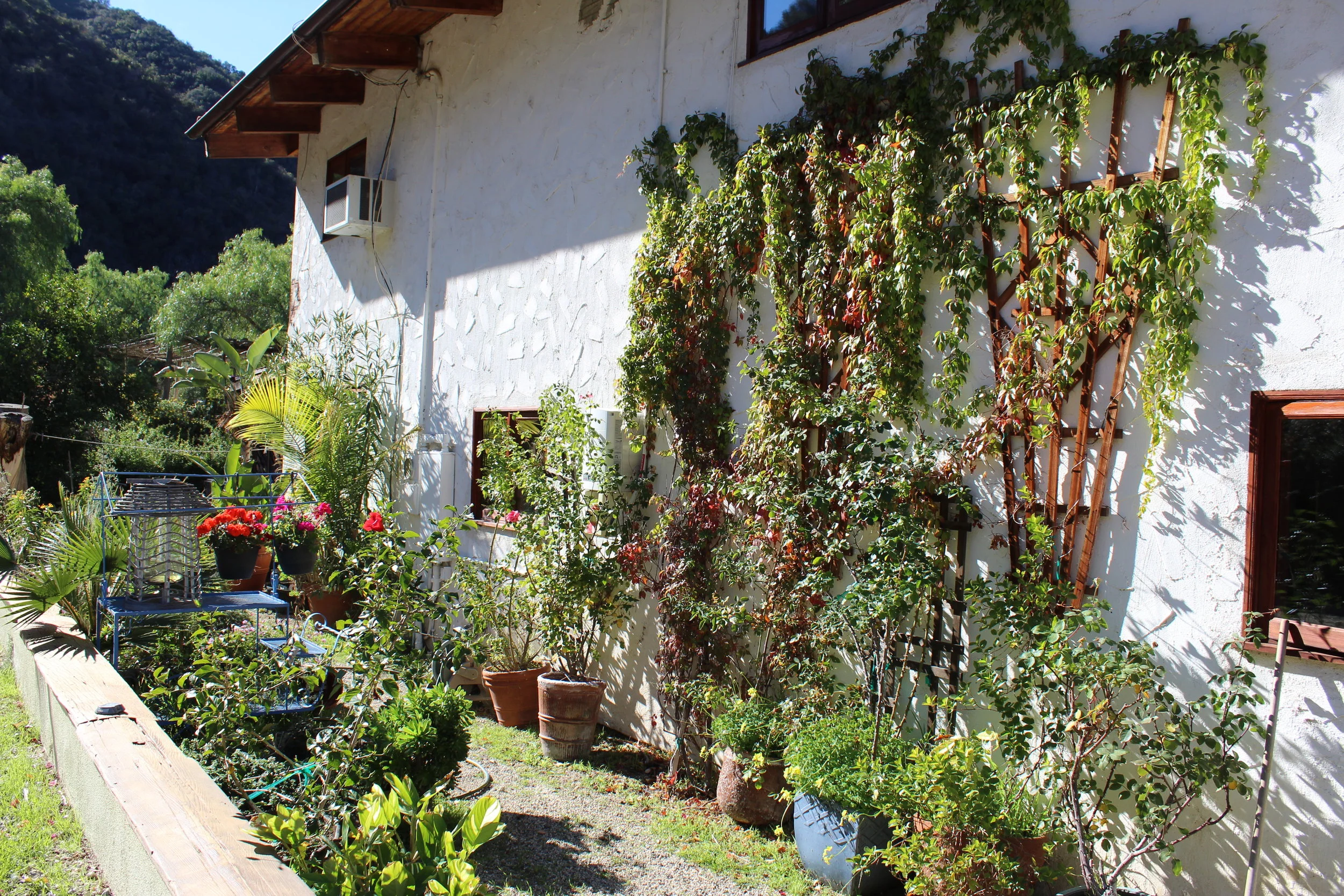 Ranch House East-Facing Garden