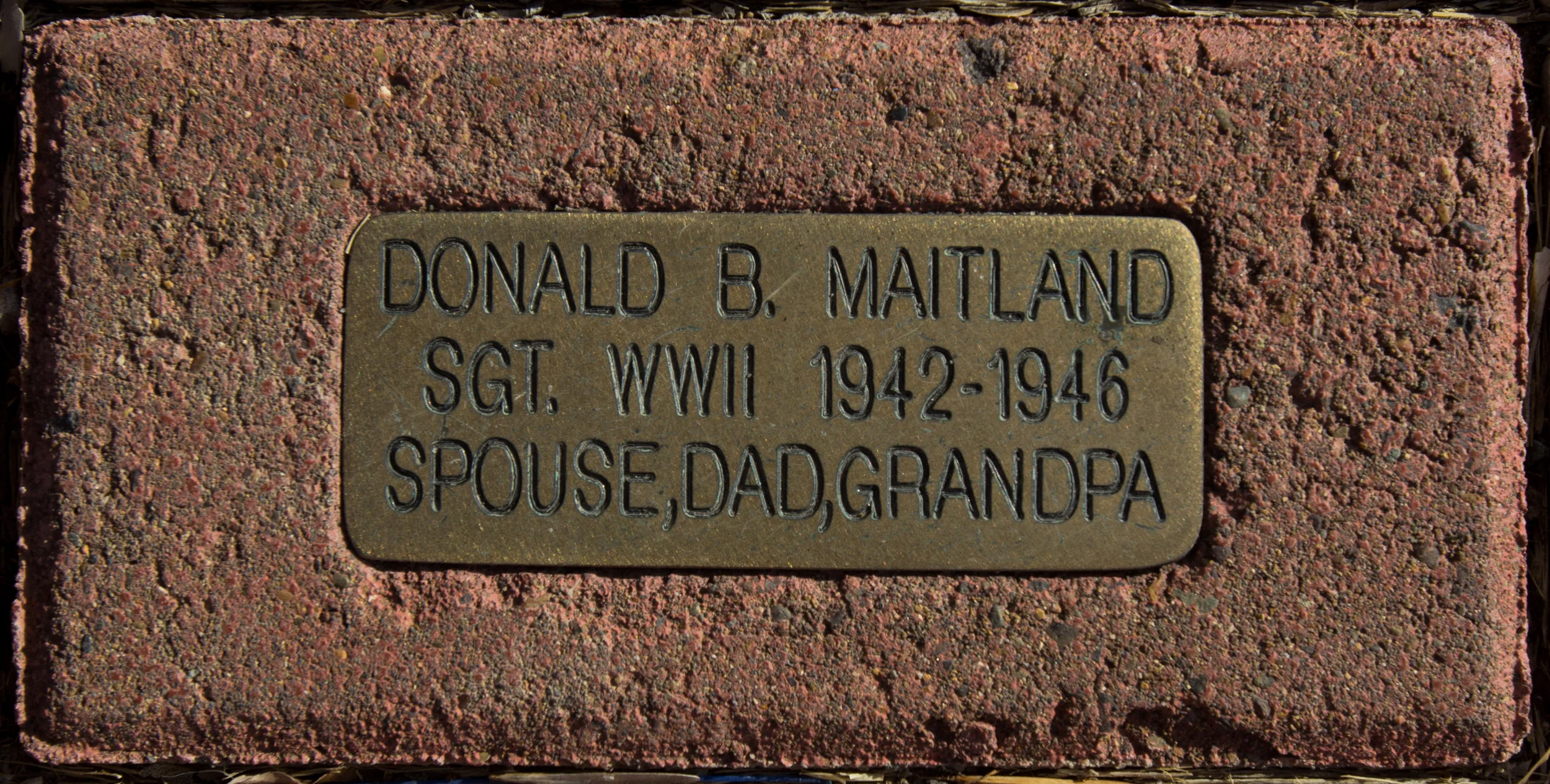 Example of Individual Brick For: Walk of Honor