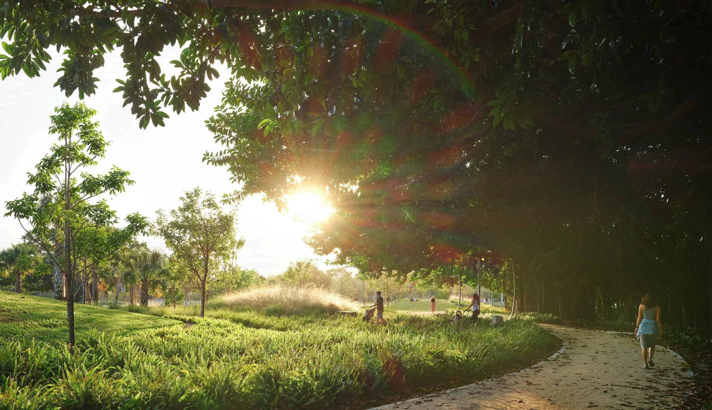 Architectural photograph of the lush landscaping at Bayshore Park in Miami Beach at sunset featuring people enjoying the walking paths at sunset. Captured by Miami architectural photographer and filmmaker Christian Santiago