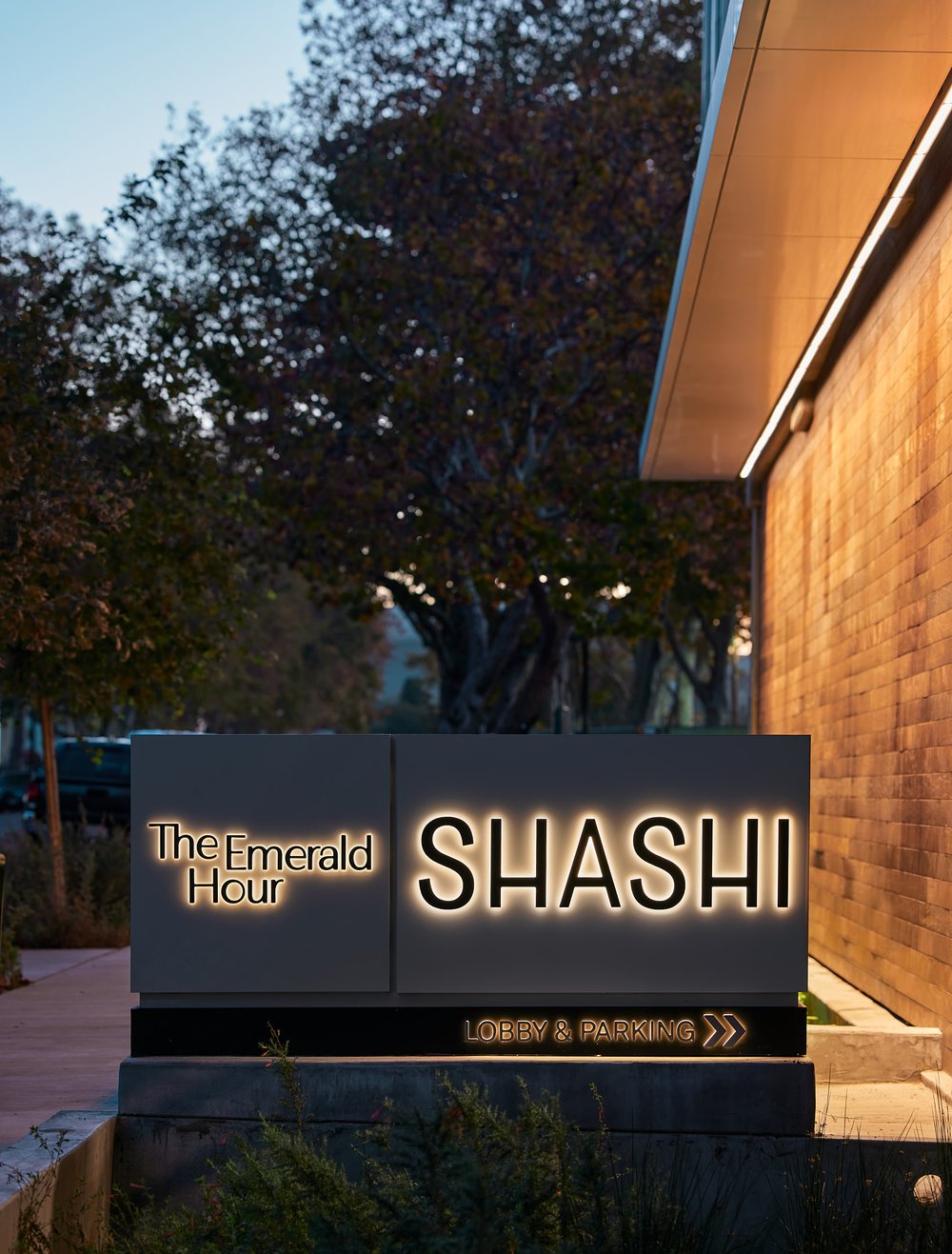 Shashi Sign Softer Lights 1.jpg