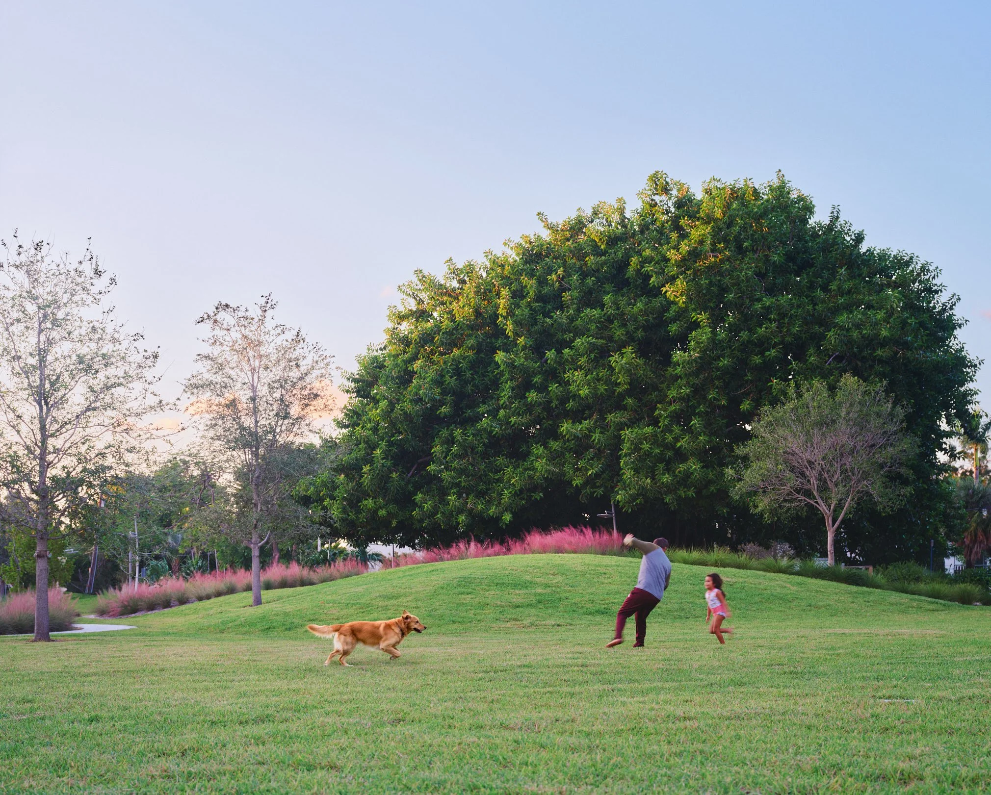Architectural photograph of a family and dog playing on a grassy hill in Bayshore Park in Miami Beach, illustrating the park’s open recreational lawns and expansive landscape design. Captured by Miami and Los Angeles-based architectural and travel ph