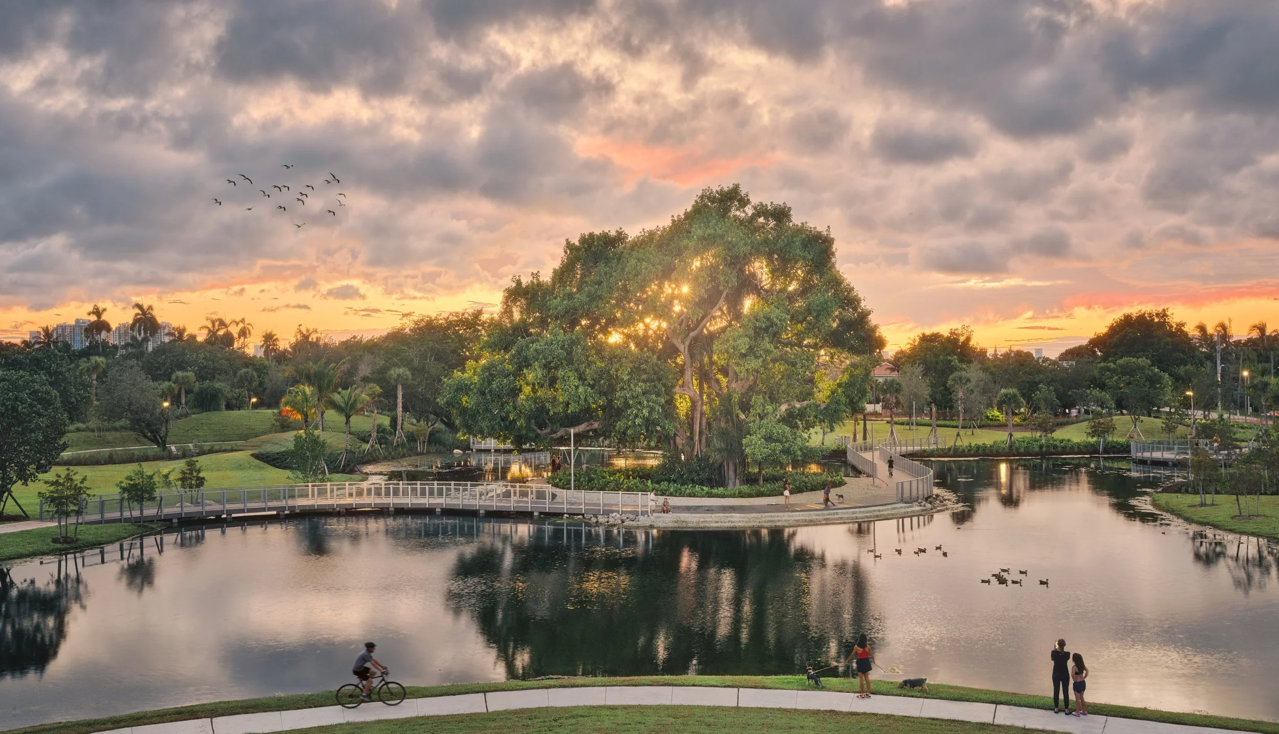 Architectural photograph of Bayshore Park in Miami Beach at sunset, showing the central lake, pedestrian bridges, banyan tree island, and winding walking paths as visitors bike, walk, and gather along the waterfront landscape. Captured by Miami and L