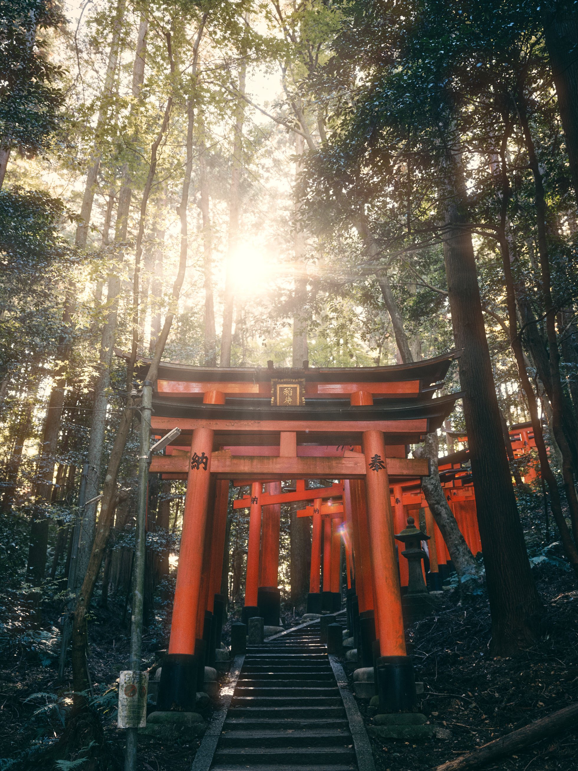 Miami-los-angeles-landscape-travel-architectural-photographer-filmmaker-fushiri-inari-shrine-kyoto-japan.jpg