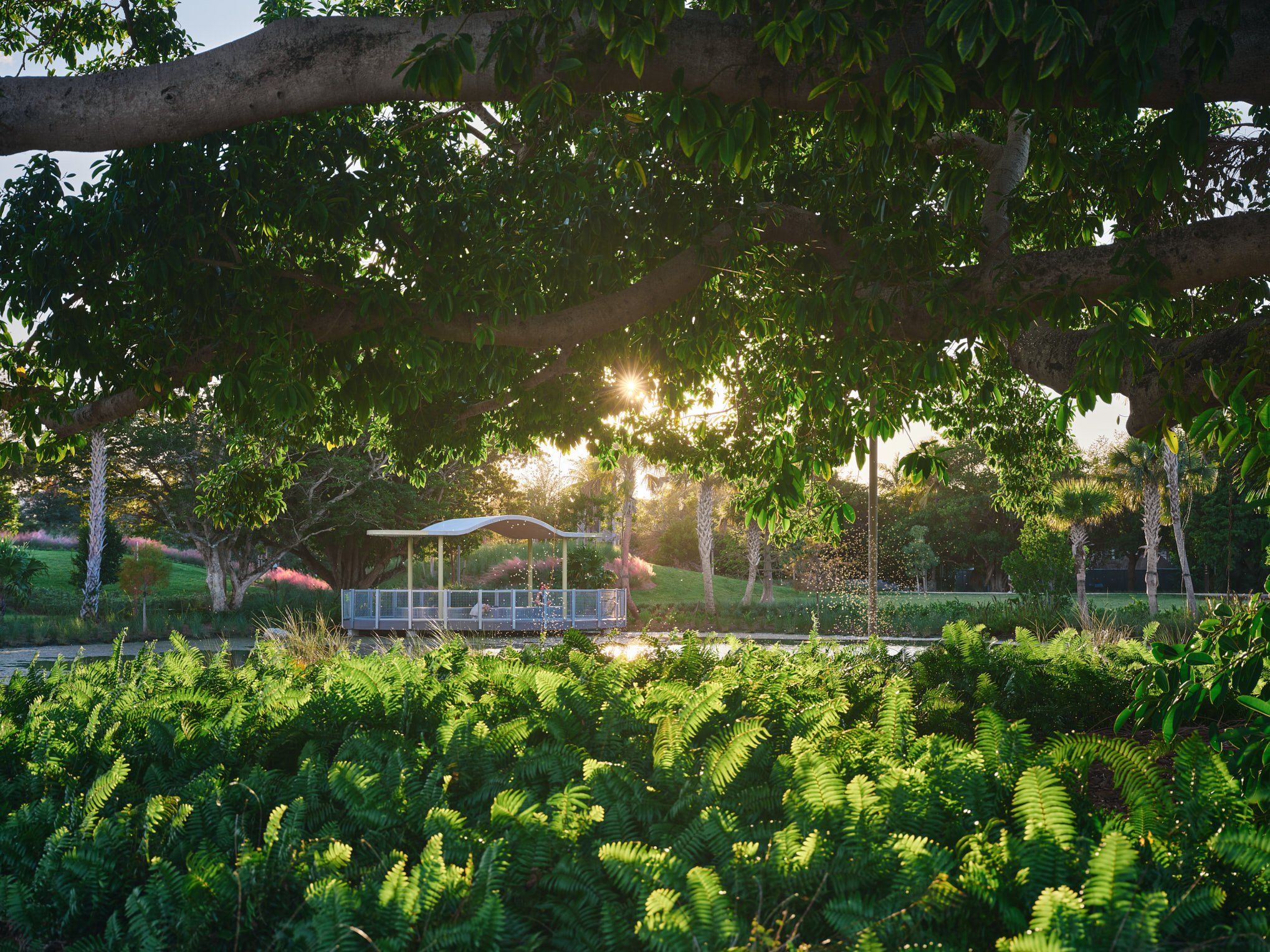 Architectural photograph of a pavilion and pedestrian bridge framed by banyan tree branches and lush ferns in Bayshore Park in Miami Beach, highlighting the park’s layered planting design and shaded waterfront circulation paths. Captured by Miami and