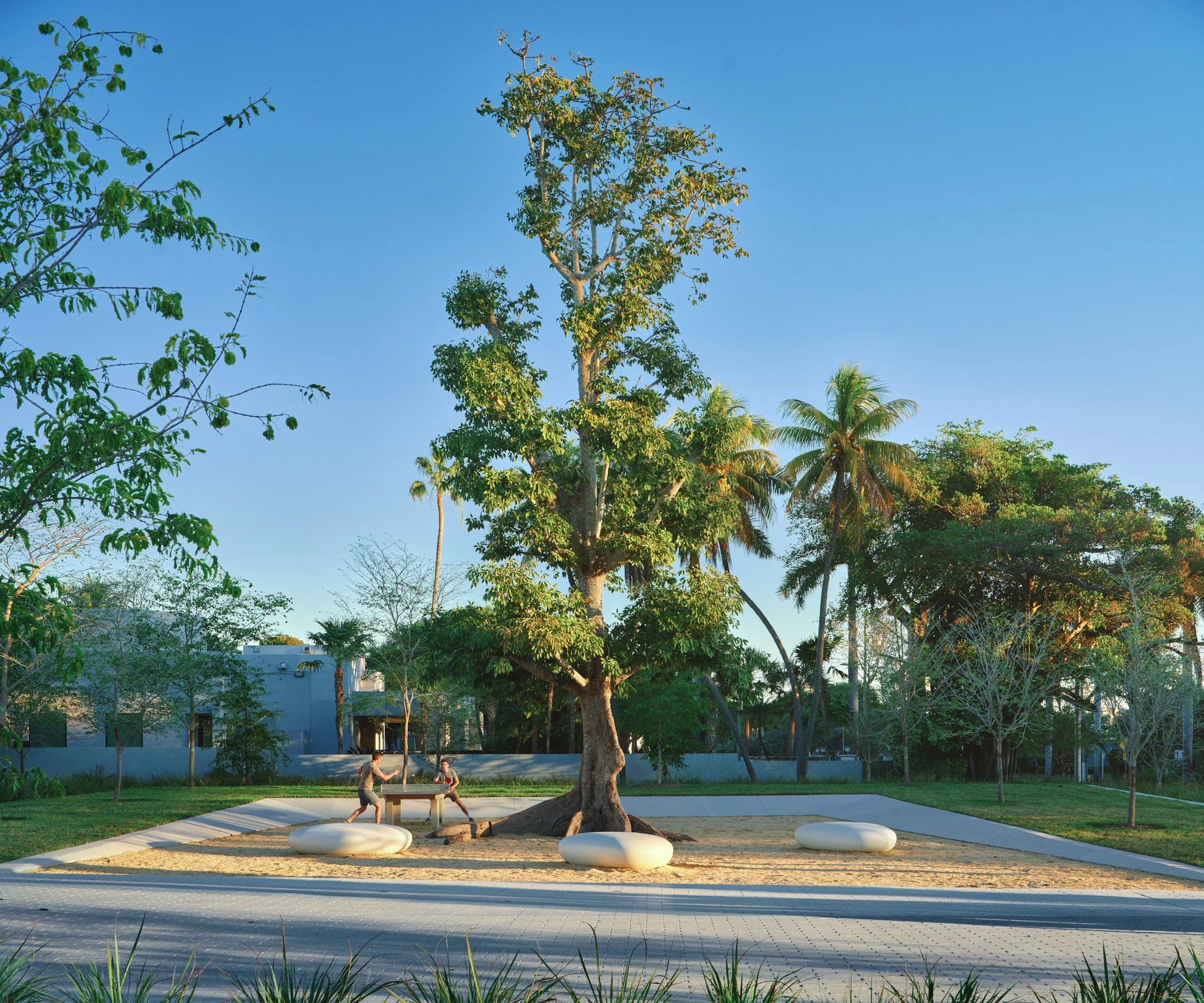 Architectural photograph of a zen garden in the shade of a large tree at the entrance of Bayshore Park in Miami Beach. The garden contains sand and smooth, large stones as well as a ping pong table where two young men engage in a spirited game. Captu