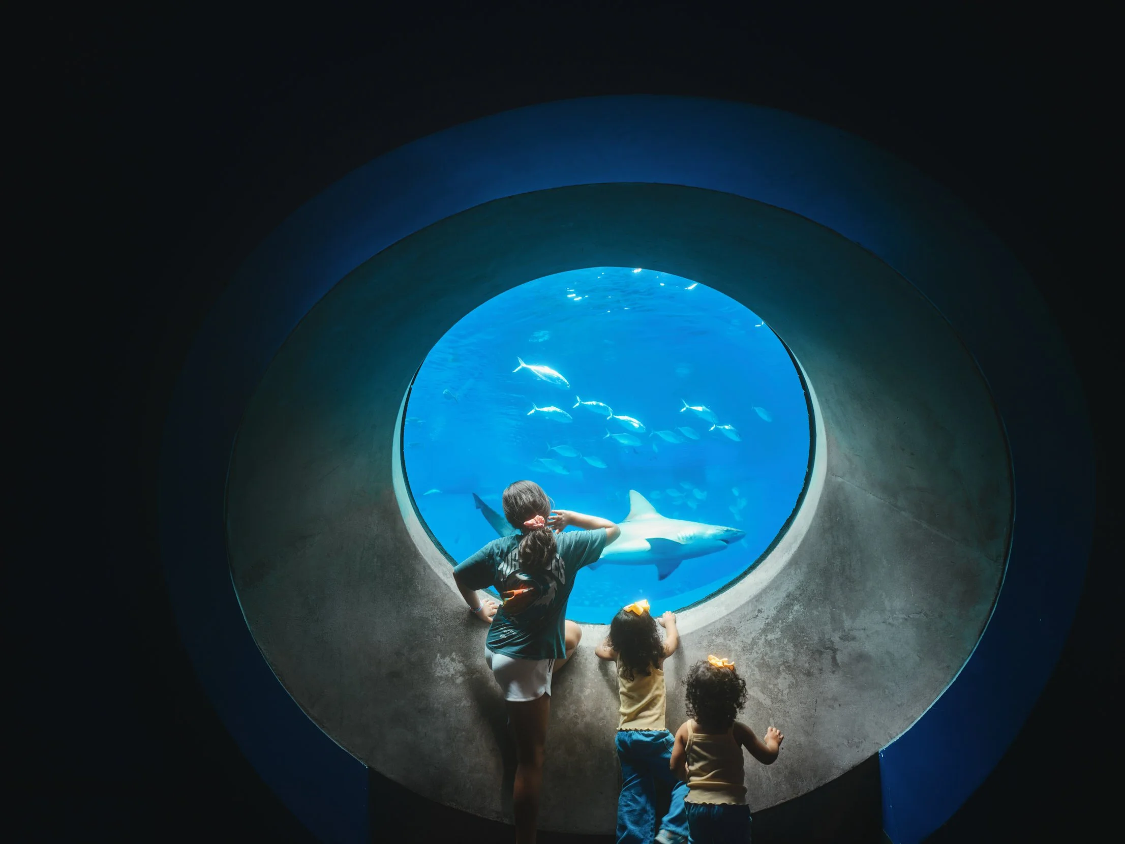 Architectural photograph of visitors viewing a shark through a circular aquarium window at the Phillip and Patricia Frost Museum of Science in Miami, Florida, highlighting the museum’s immersive design and dramatic underwater exhibit. Shot by Miami a