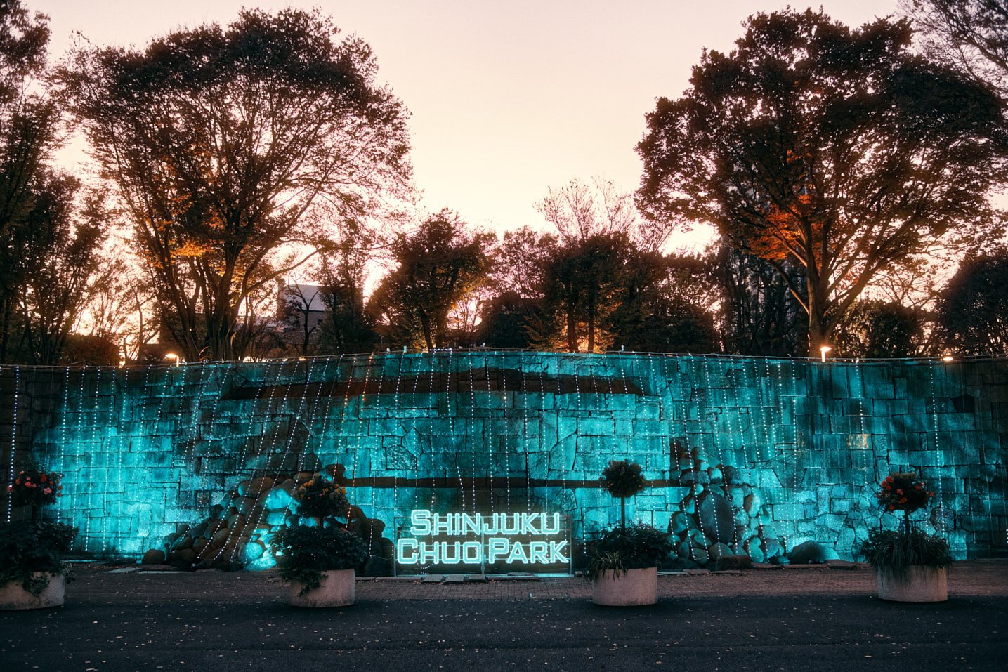 Miami-los-angeles-landscape-architectural-photographer-travel-shinjuko-chuo-park-tokyo-japan.jpg