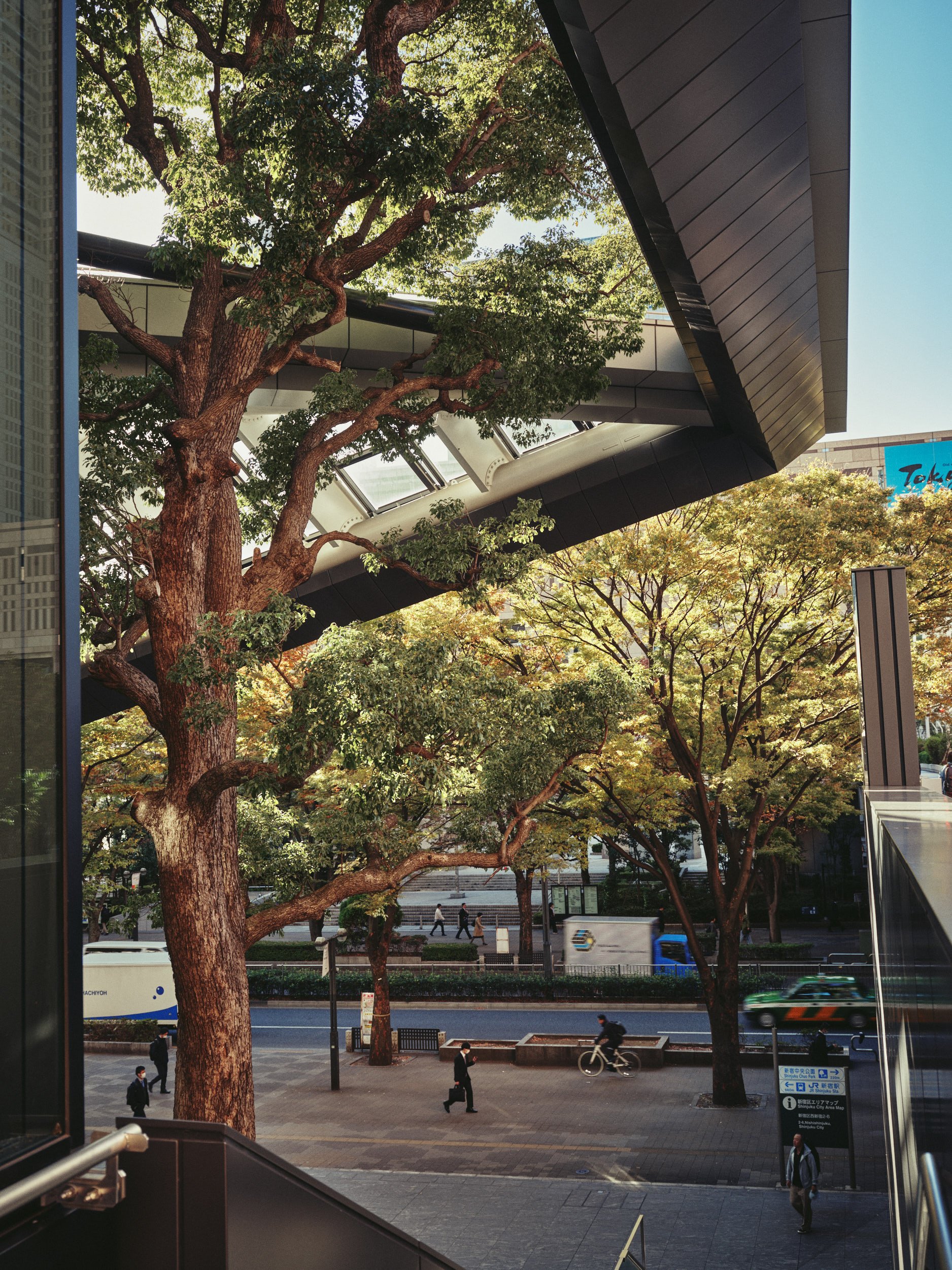 Architectural photograph taken in Tokyo, Japan, capturing the integration of urban infrastructure with nature. A large mature tree grows through a modern building canopy, its branches weaving around steel and glass elements. The streetscape below fea