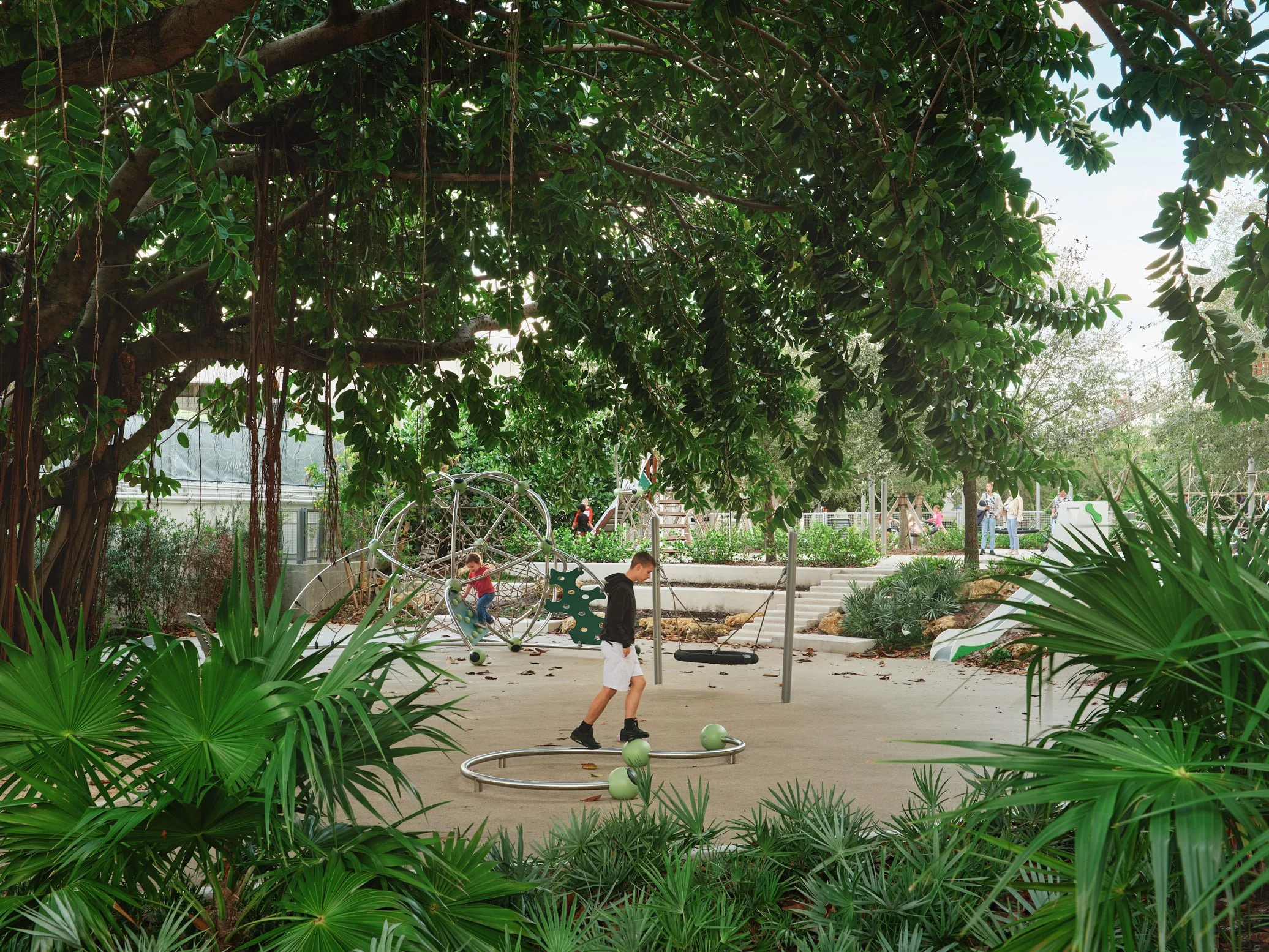 Architectural photograph of children playing beneath a large banyan tree at the playground in Bayshore Park in Miami Beach, highlighting the integration of tropical landscape architecture, shade canopy, and family-oriented public park design. Capture