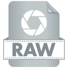 (the actual file extension is different for different cameras. They can be .CR2 for Canon cameras, .ARW for Sony, .NEF for Nikon, and many others) The actual raw image file that comes out of the camera.