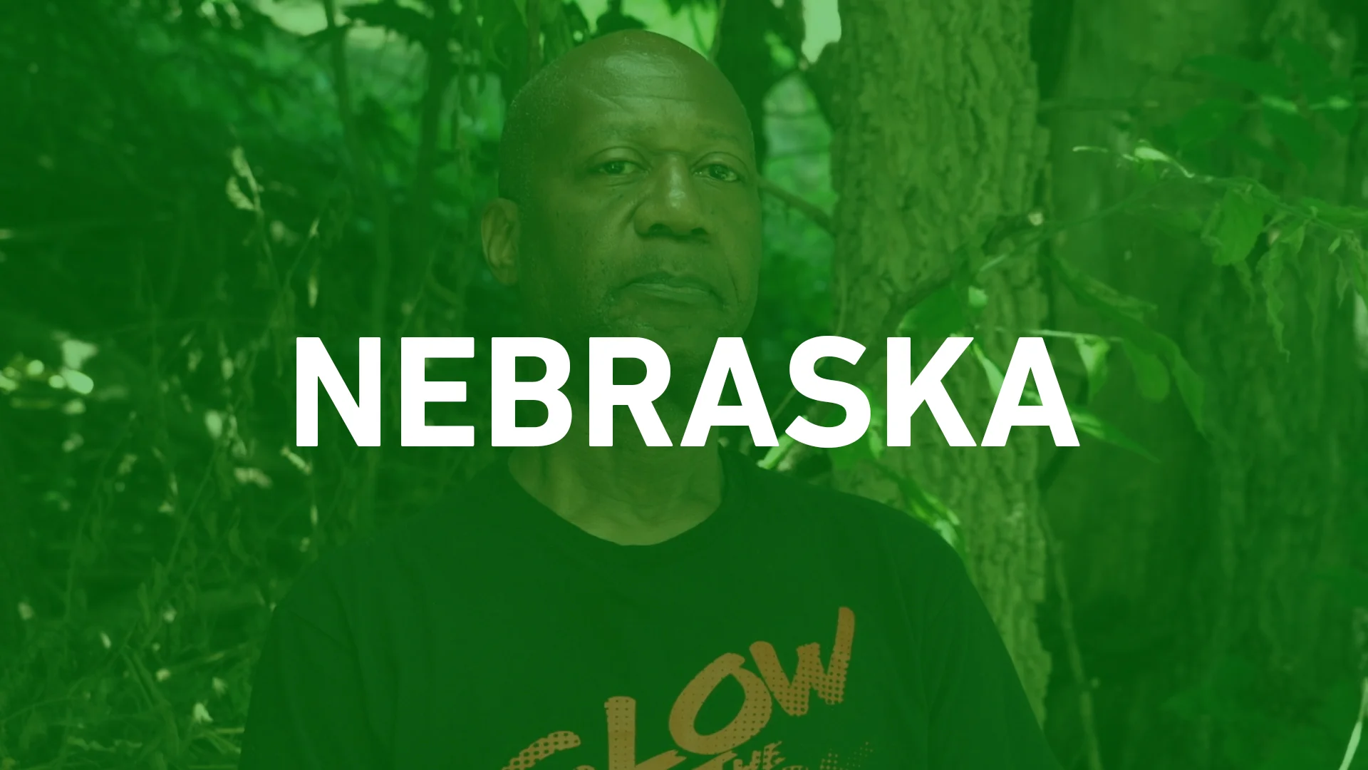 NE thumbnail for web green.jpg
