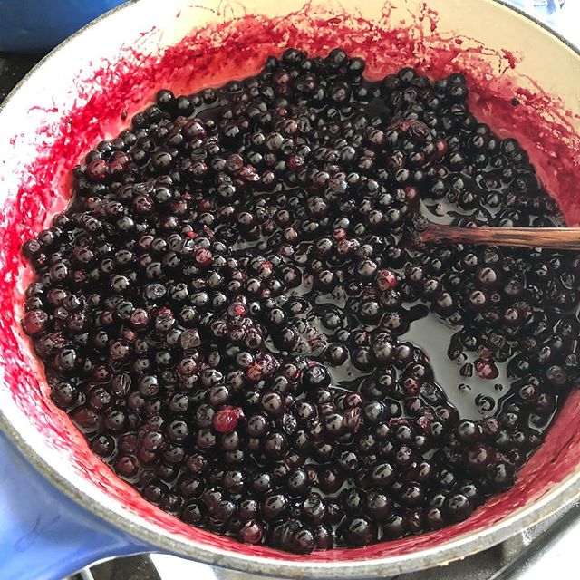 Been out of the unfarmed game for a bit..life gets in the way sometimes :) but all is well. Huckleberries are in!