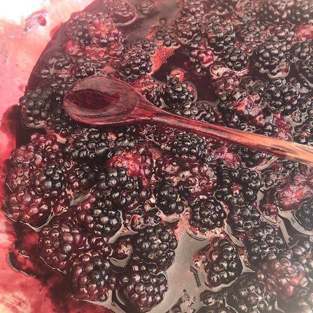 Blackberries today! Made ice cream w the huckleberries. I&rsquo;ll post a pic soon. Thinking ice cream again with these. Or jam? Other preserving ideas?