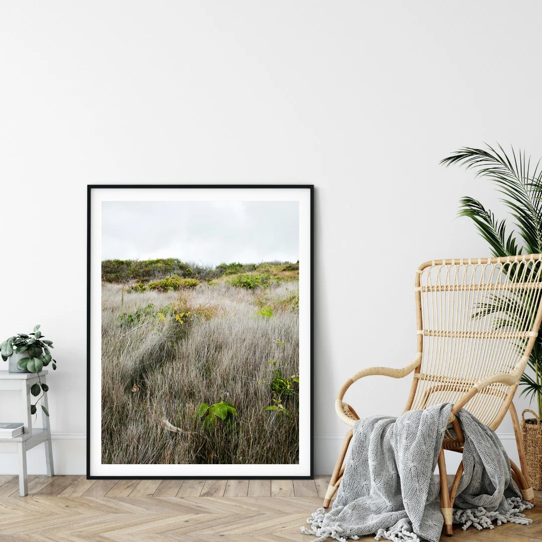 Coastal Track Hillside - Photographic Print