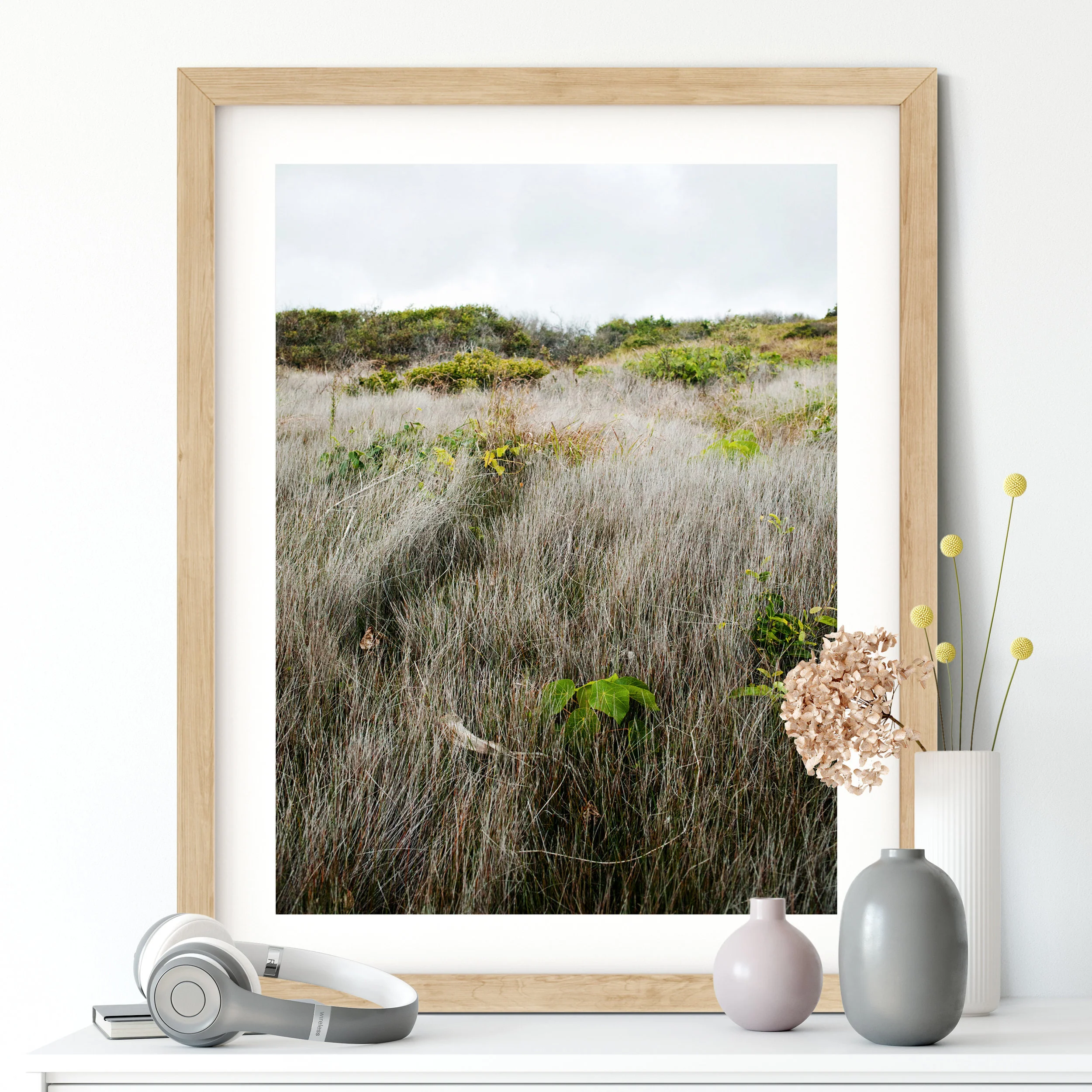 Coastal Track Hillside - Photographic Print