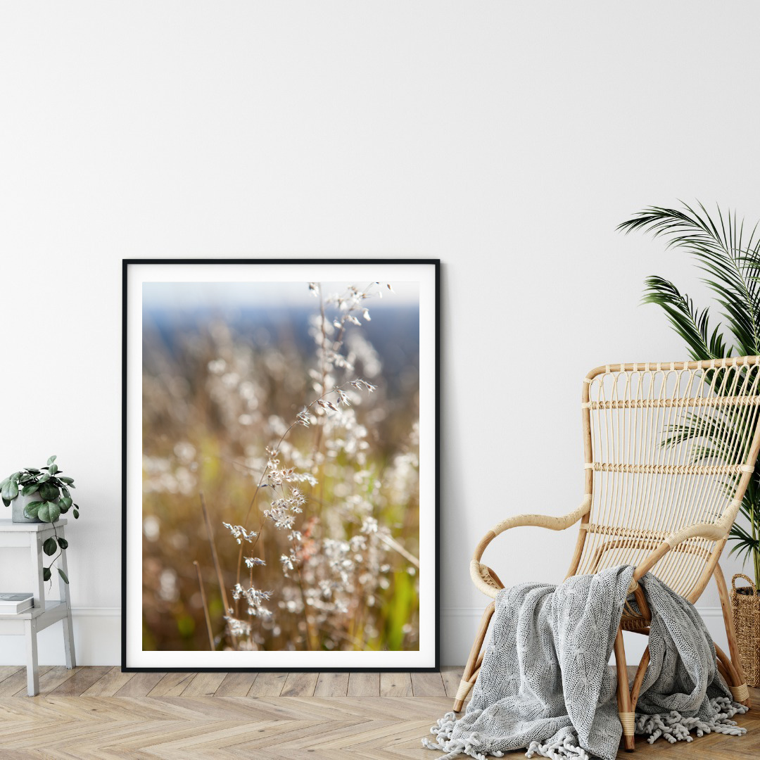 Grass Flower - Photographic Print