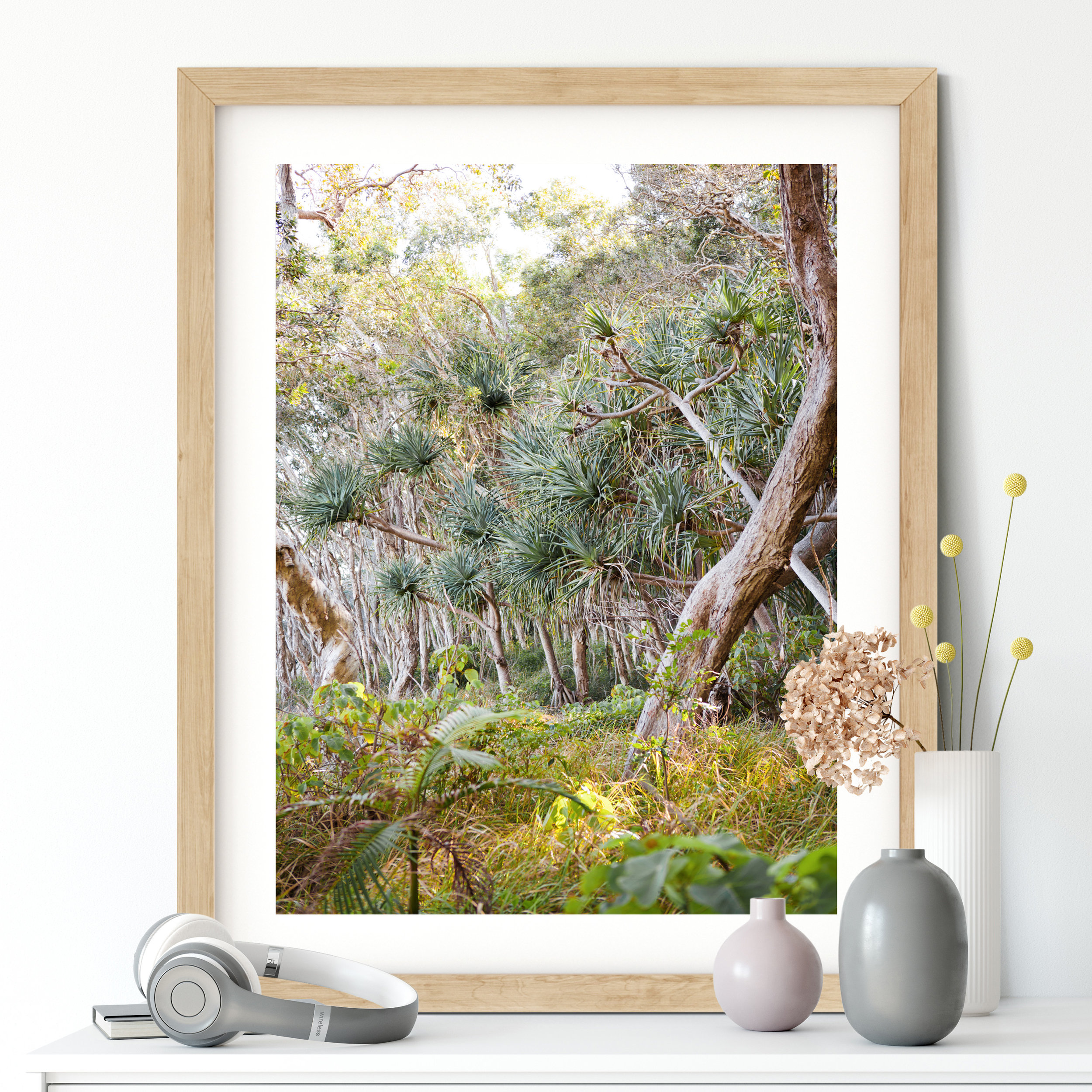 Pandanus at Tea Tree - Photographic Print