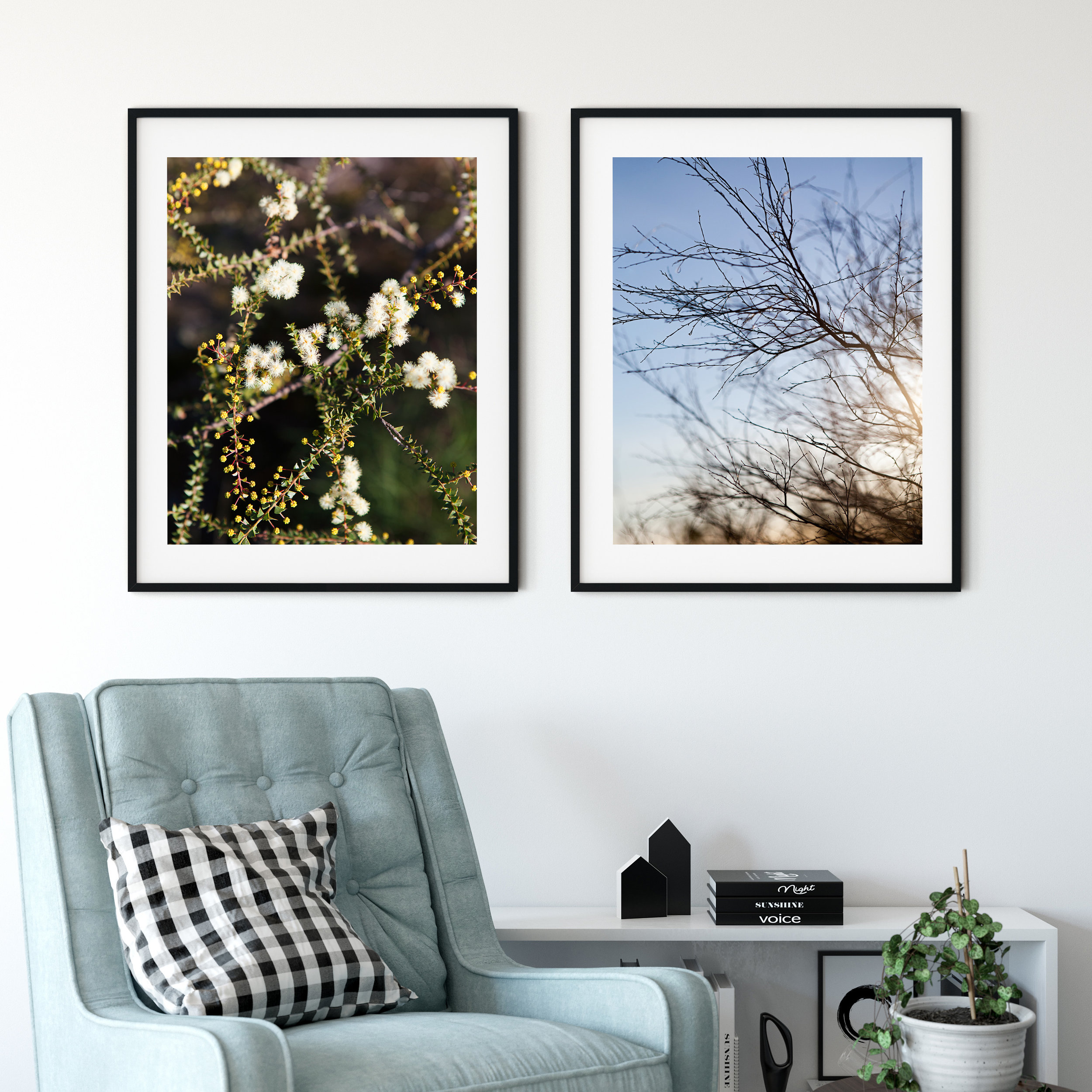 Bush Blossom + Twigs and Twitters - Photographic Print