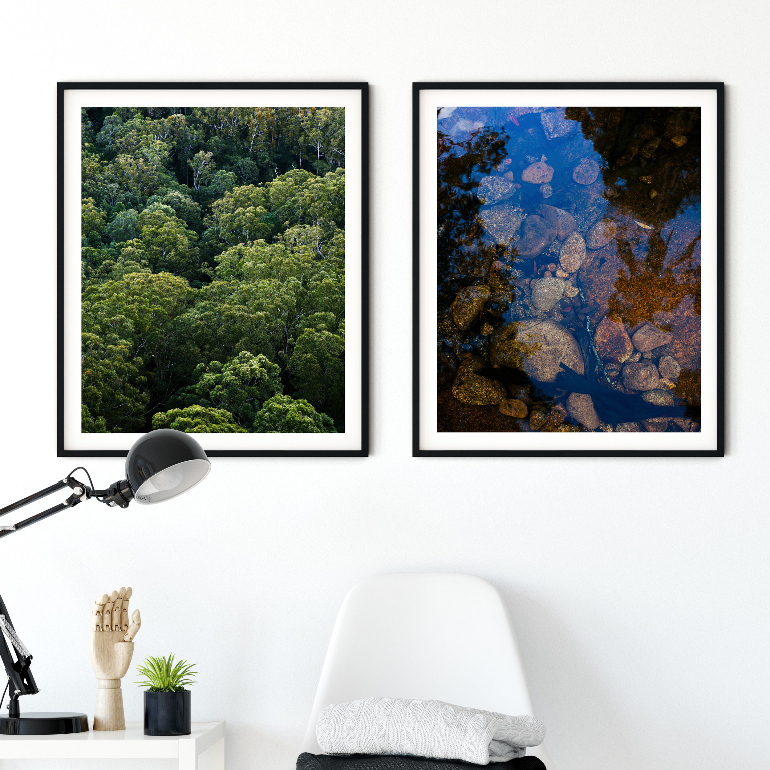 Forest Trees + River Rocks - Photographic Prints