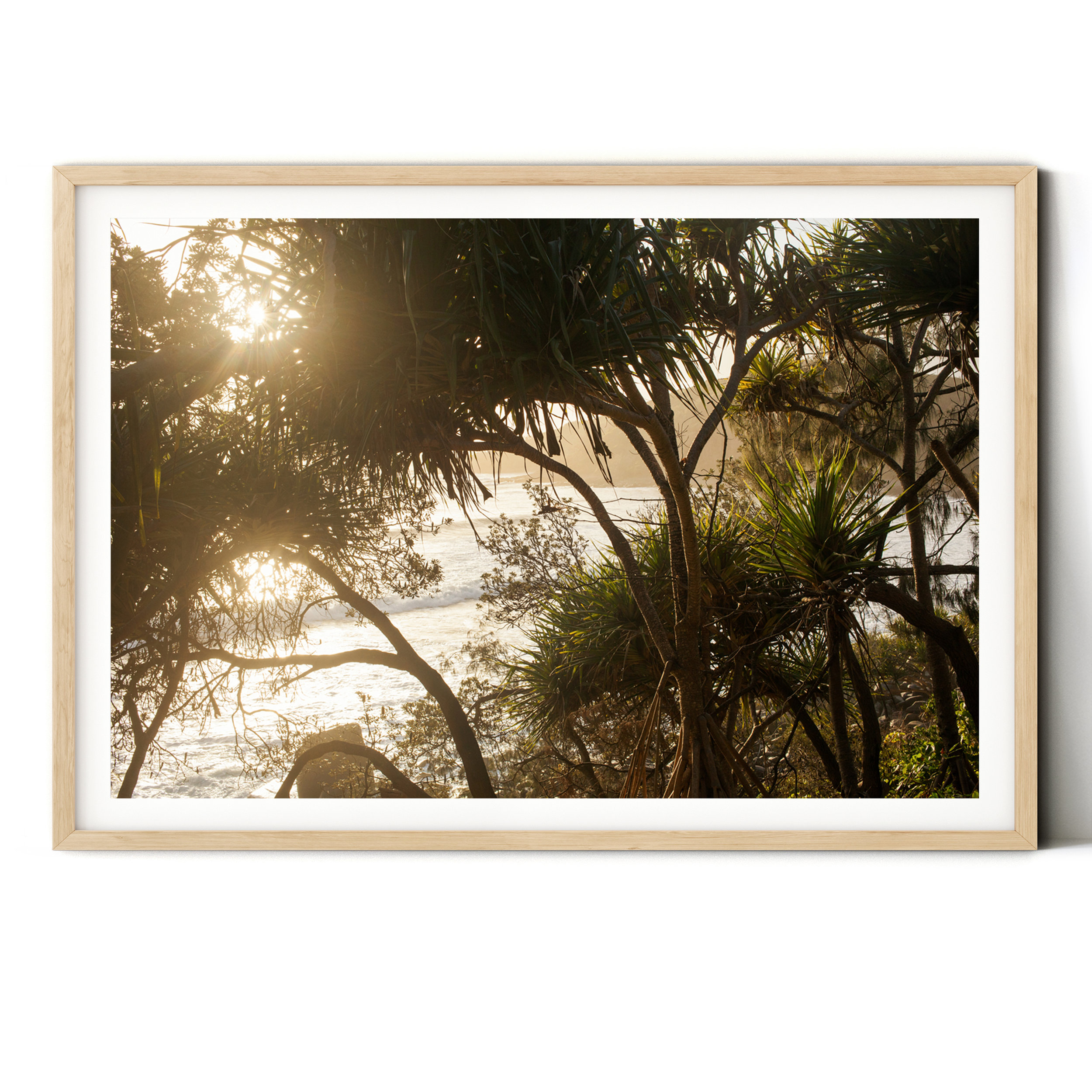 Tea Tree Splendour - Photographic Print