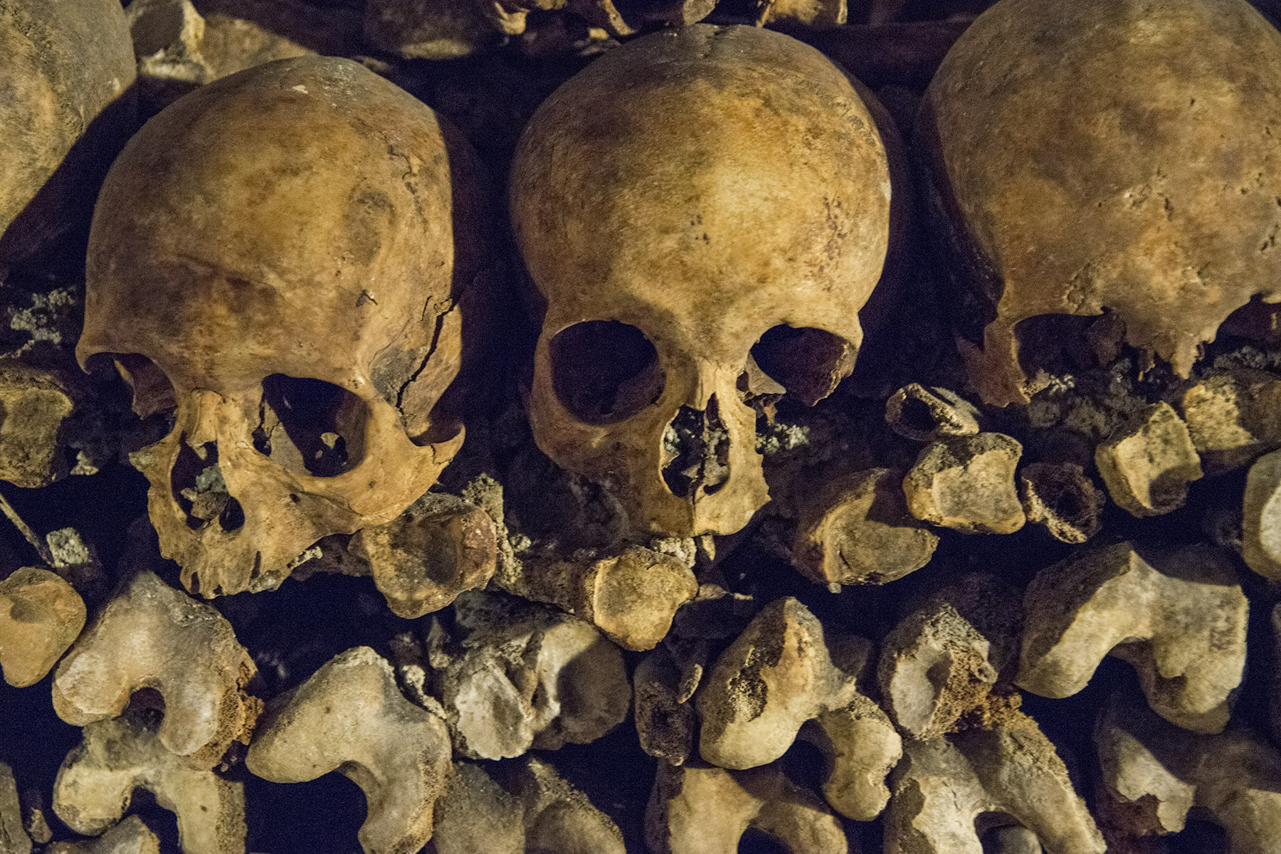 The Paris Catacombs contain 6 million skeletons, arranged in neat piles. On the public tour, you only see a very small fraction. My recommendation is to purchase tickets in advance online or come in the late afternoon when it's less crowded.