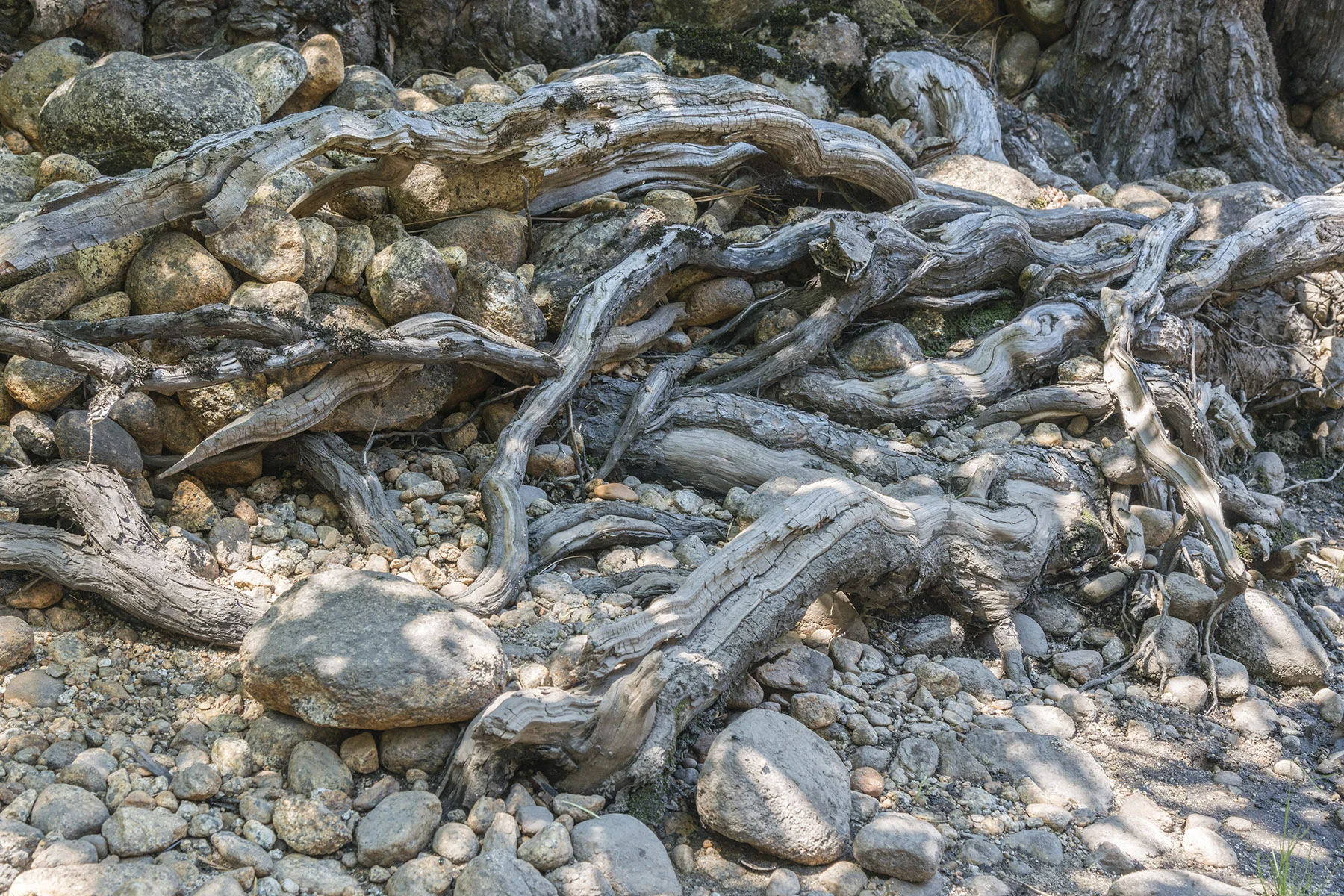 D8F_7636.jpg
