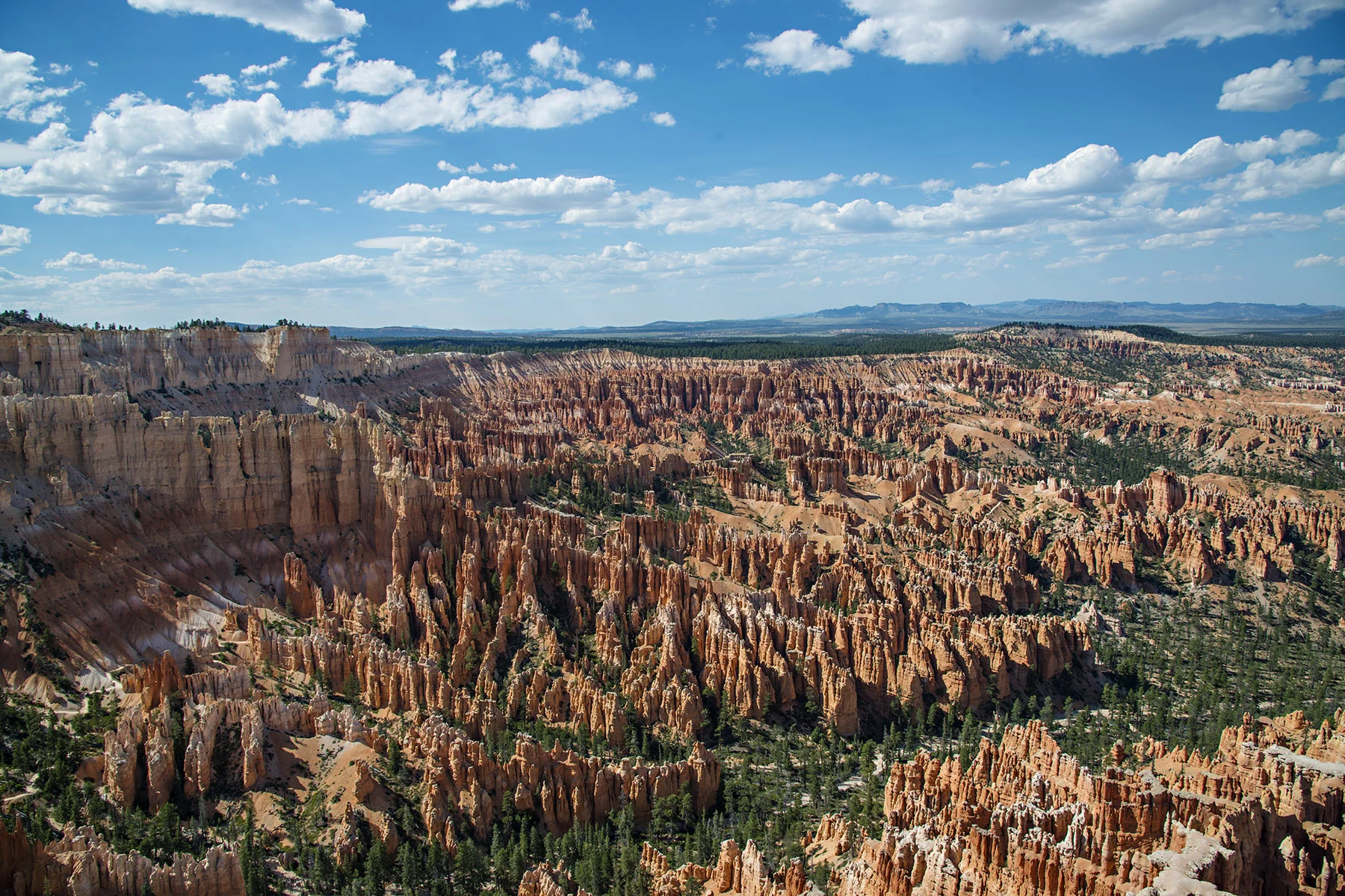 D8F_8459.jpg