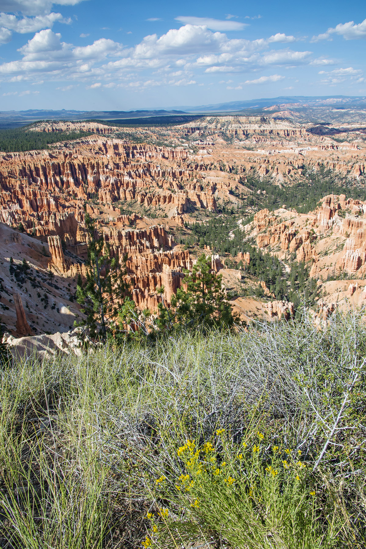 D8F_8486.jpg