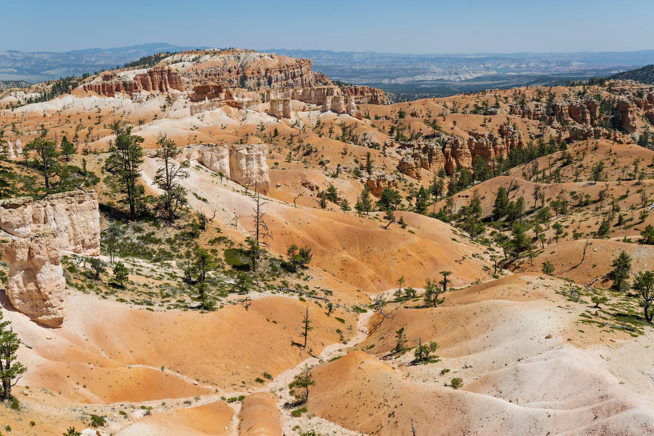 D8F_8571.jpg