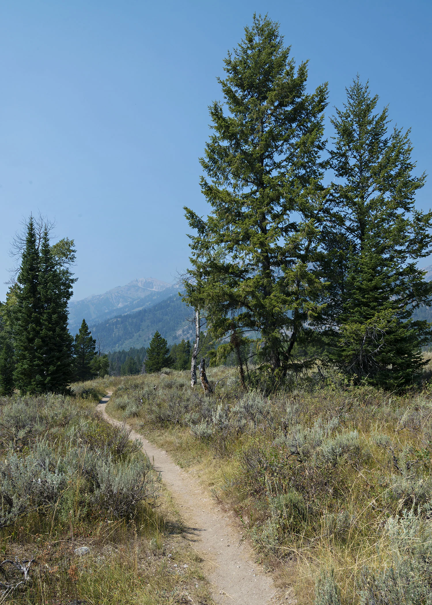 D8F_8661.jpg