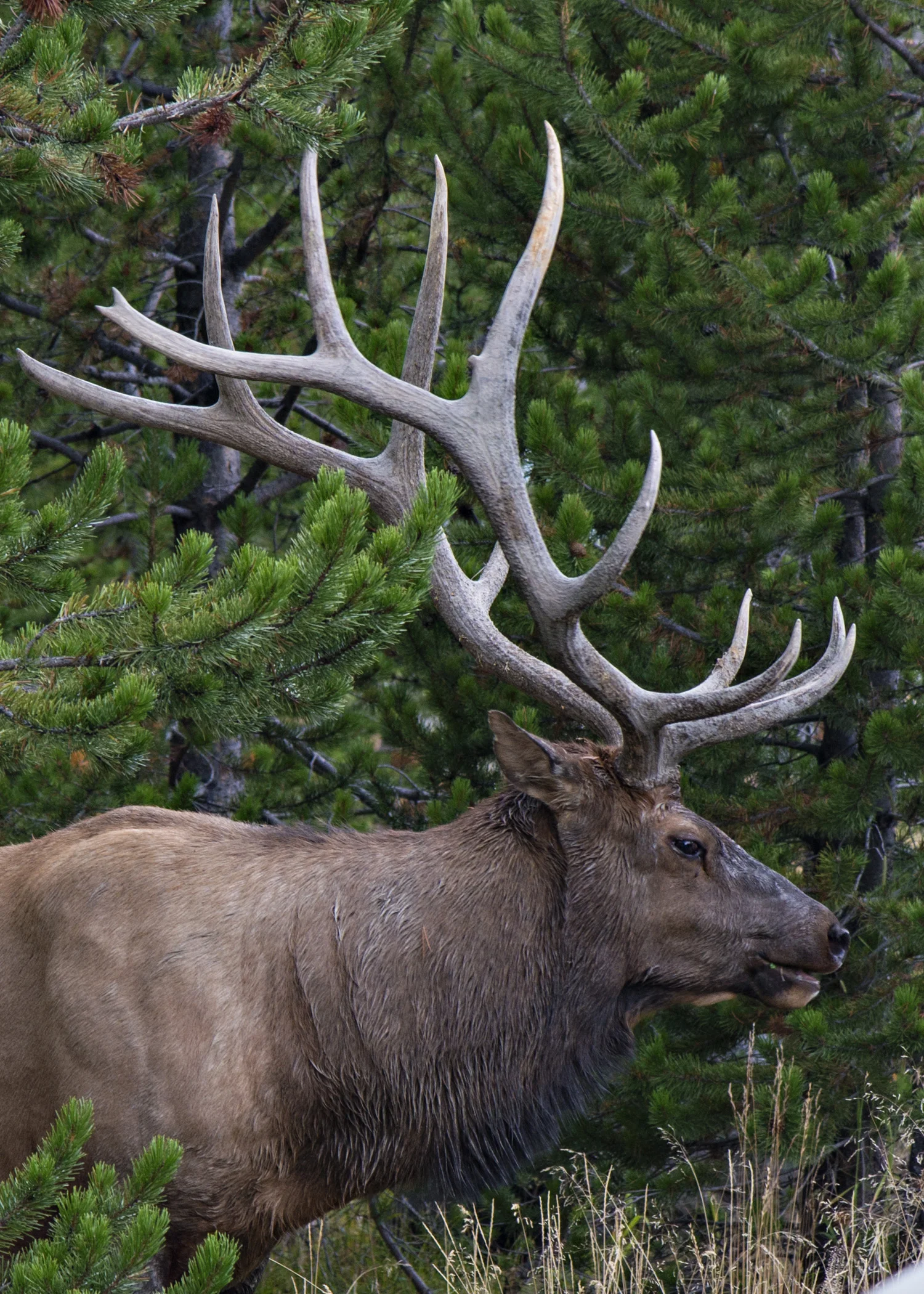 D8F_8765.jpg