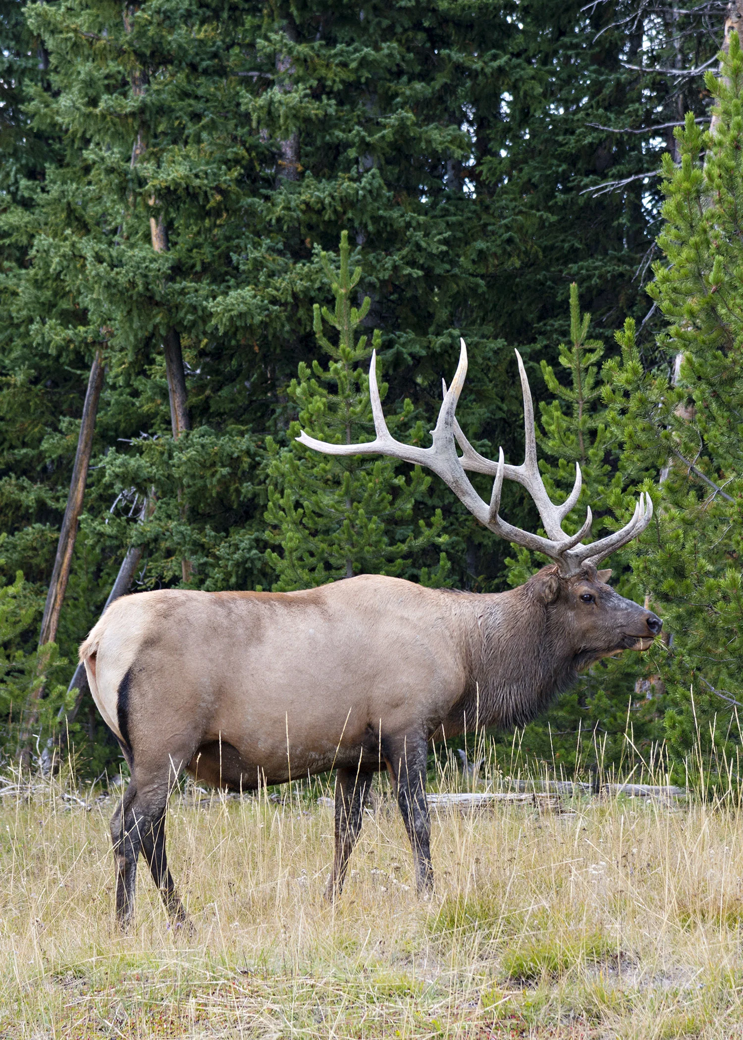 D8F_8776.jpg