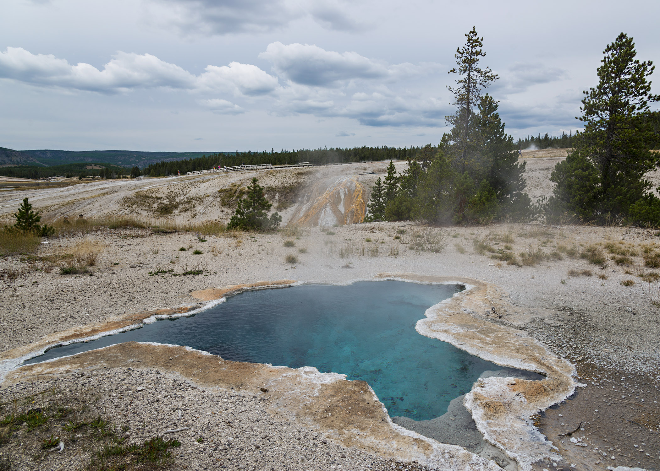 D8F_8878.jpg