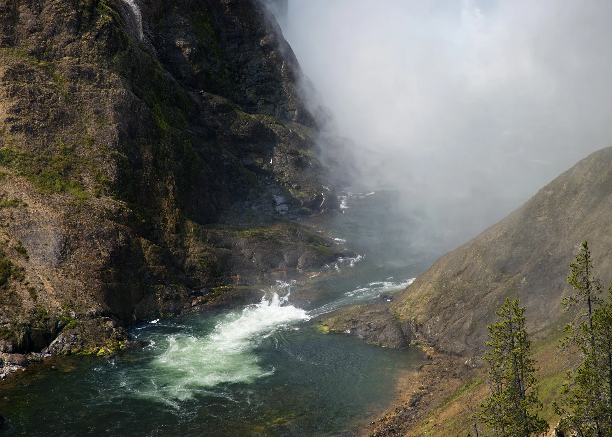 D8F_8948.jpg