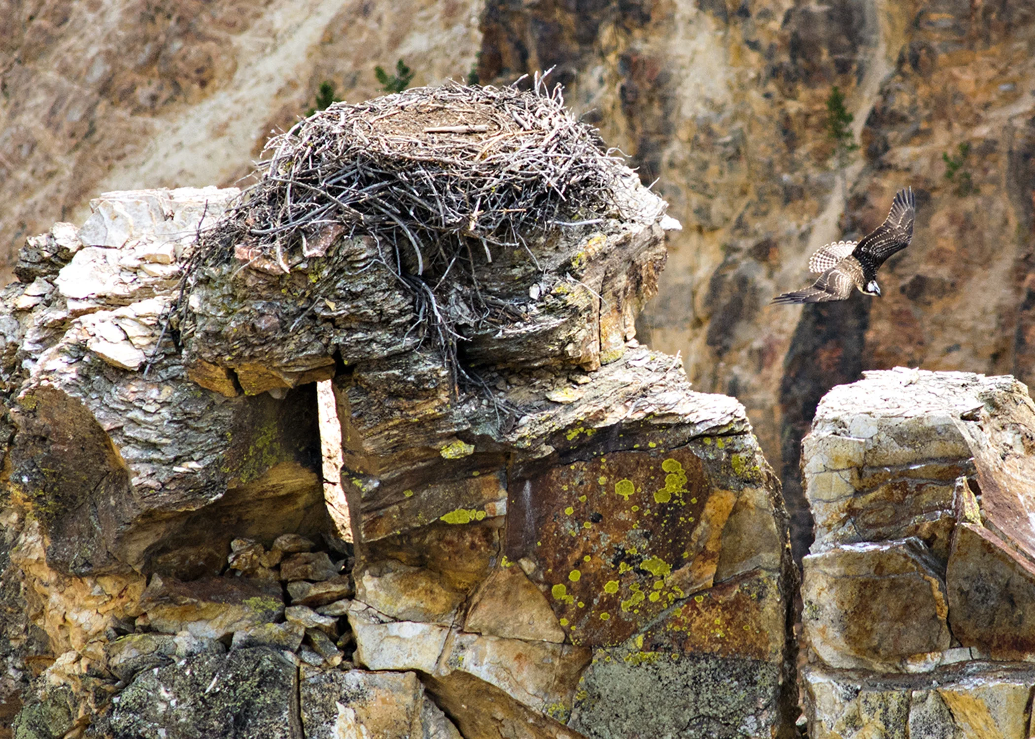 D8F_8952.jpg