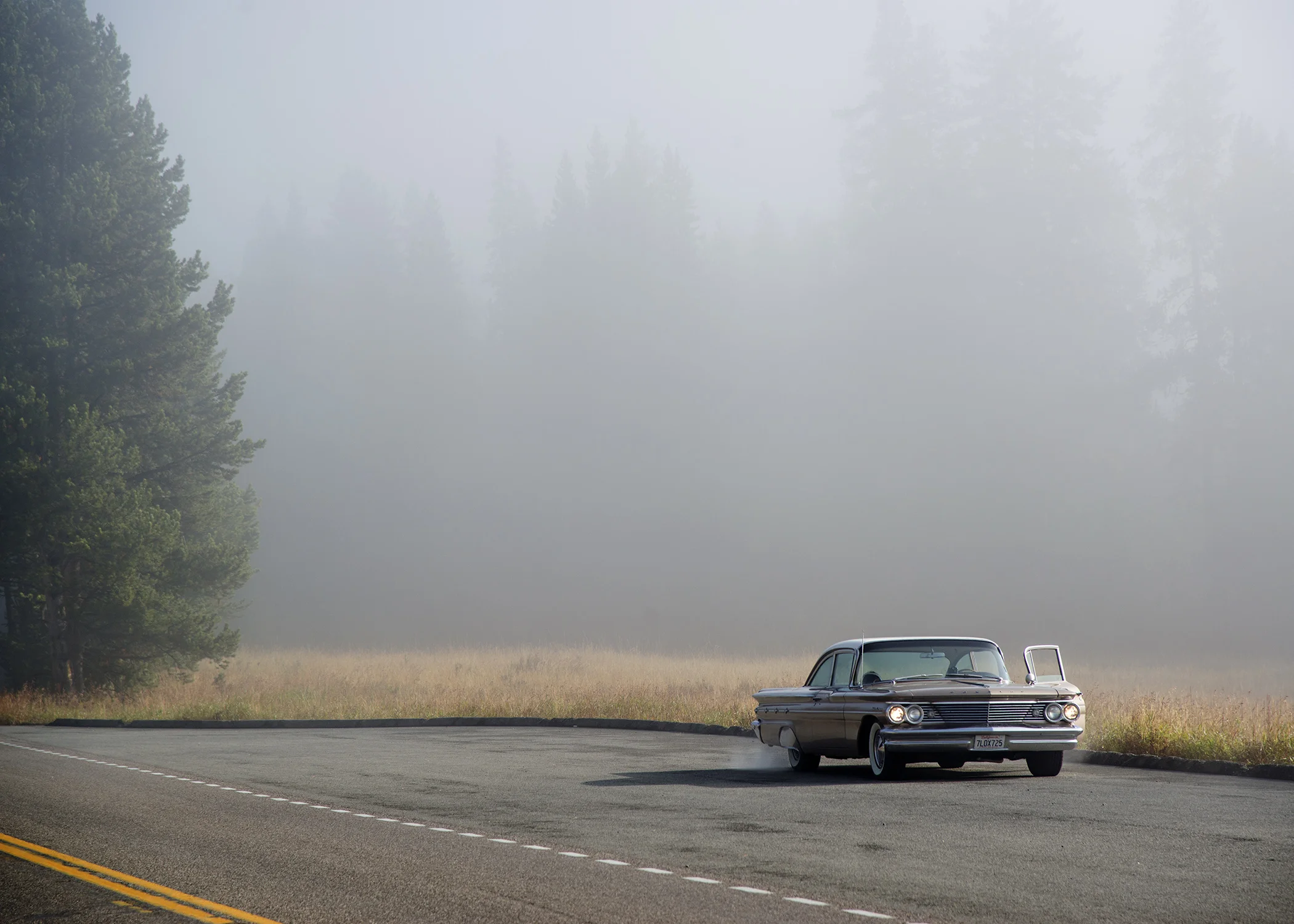 D8F_9070.jpg