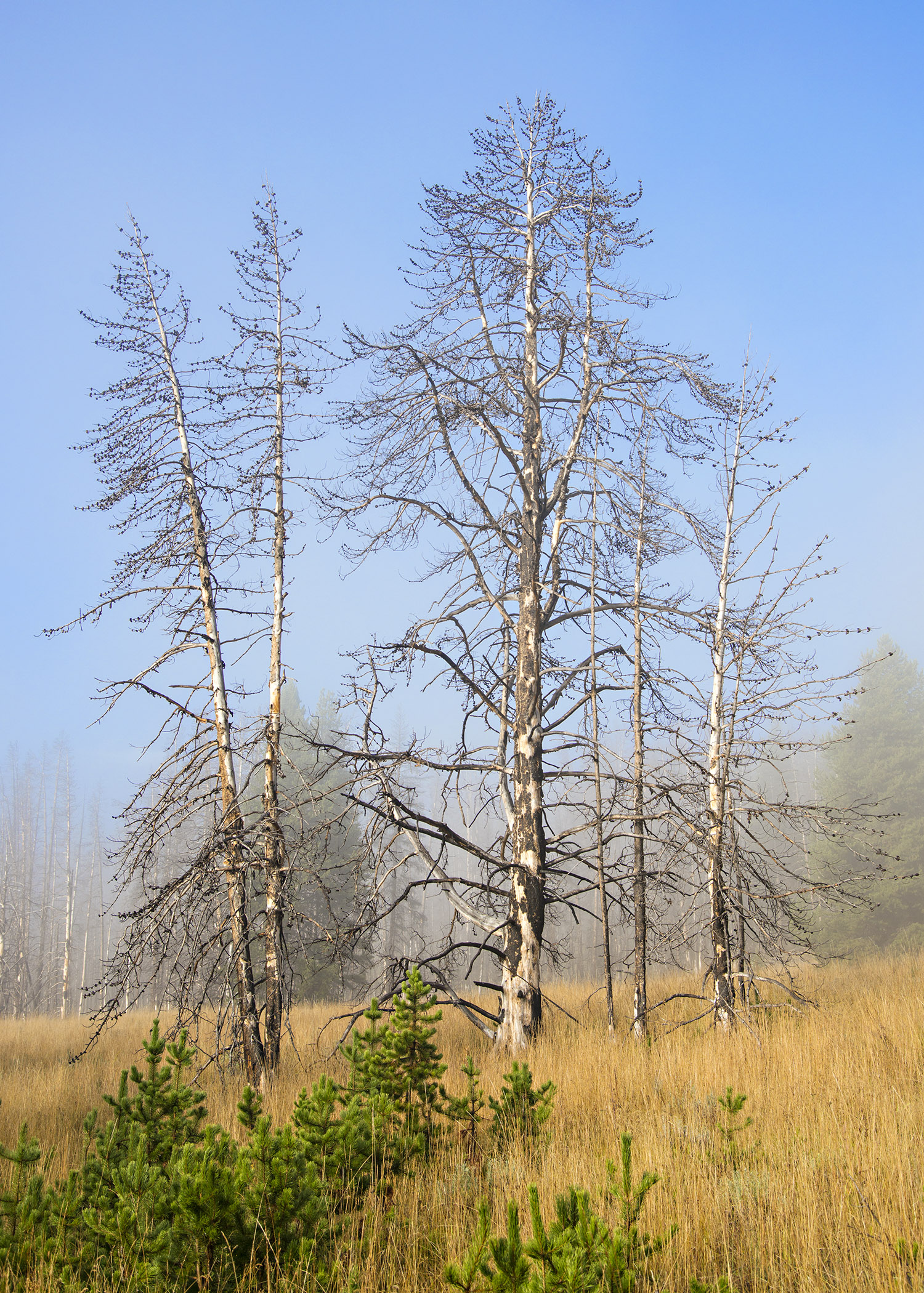D8F_9073.jpg