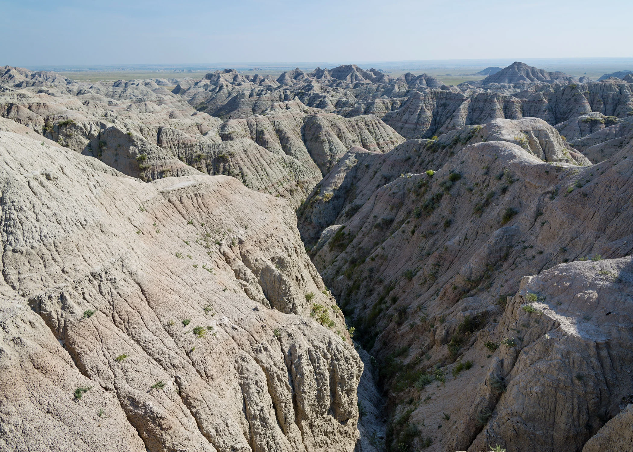 D8F_9187.jpg