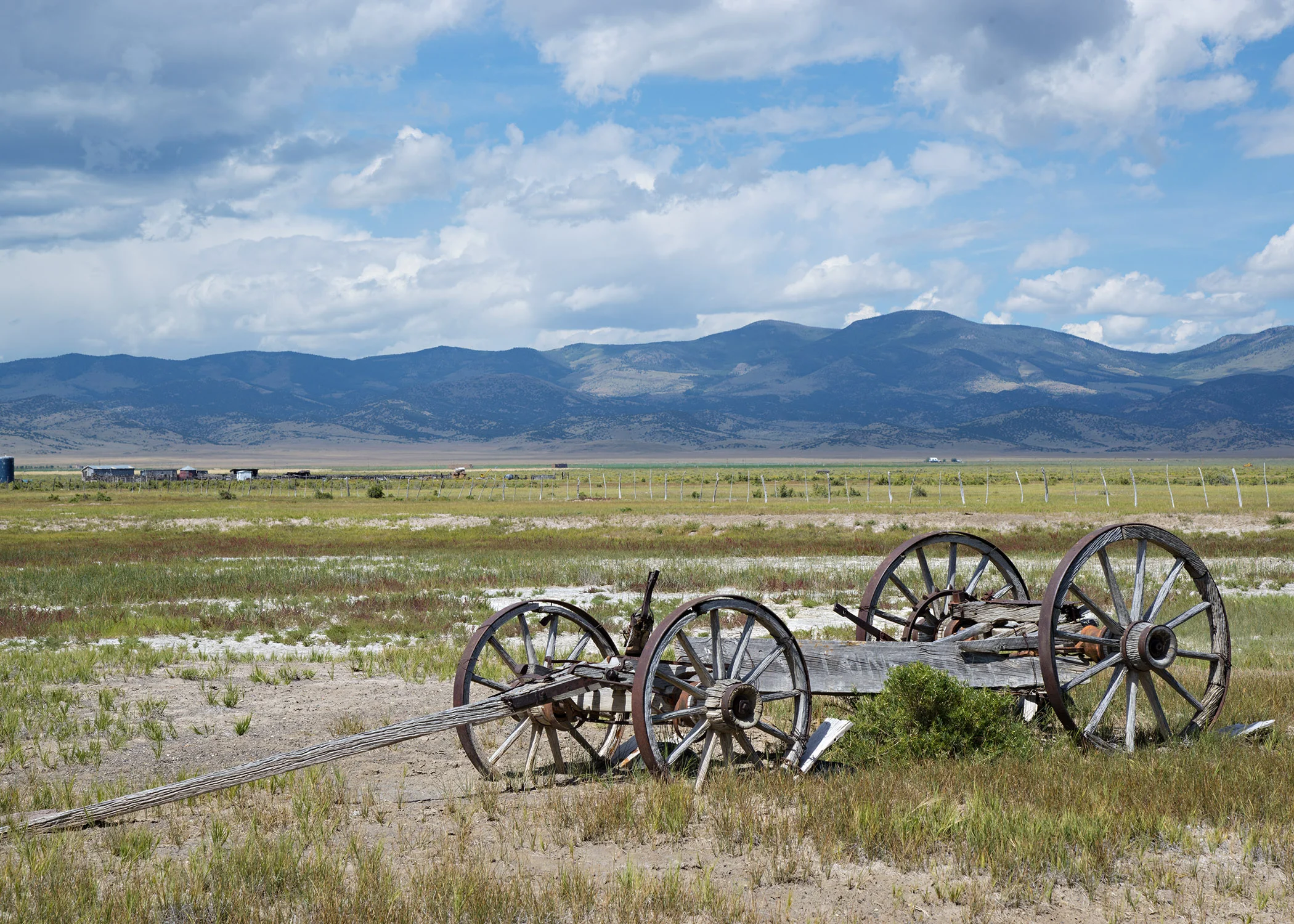 D8F_9201.jpg