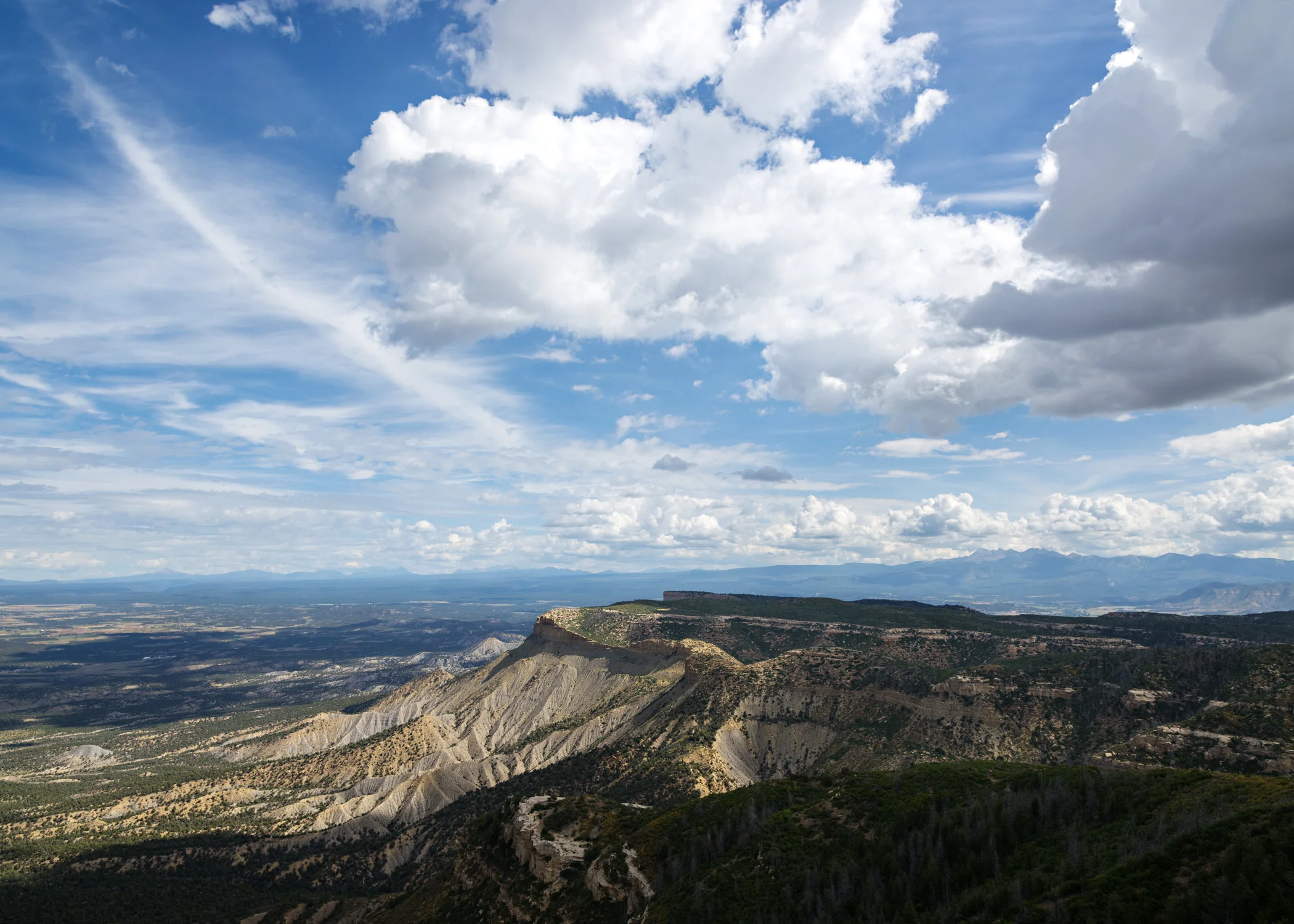 D8F_9295.jpg