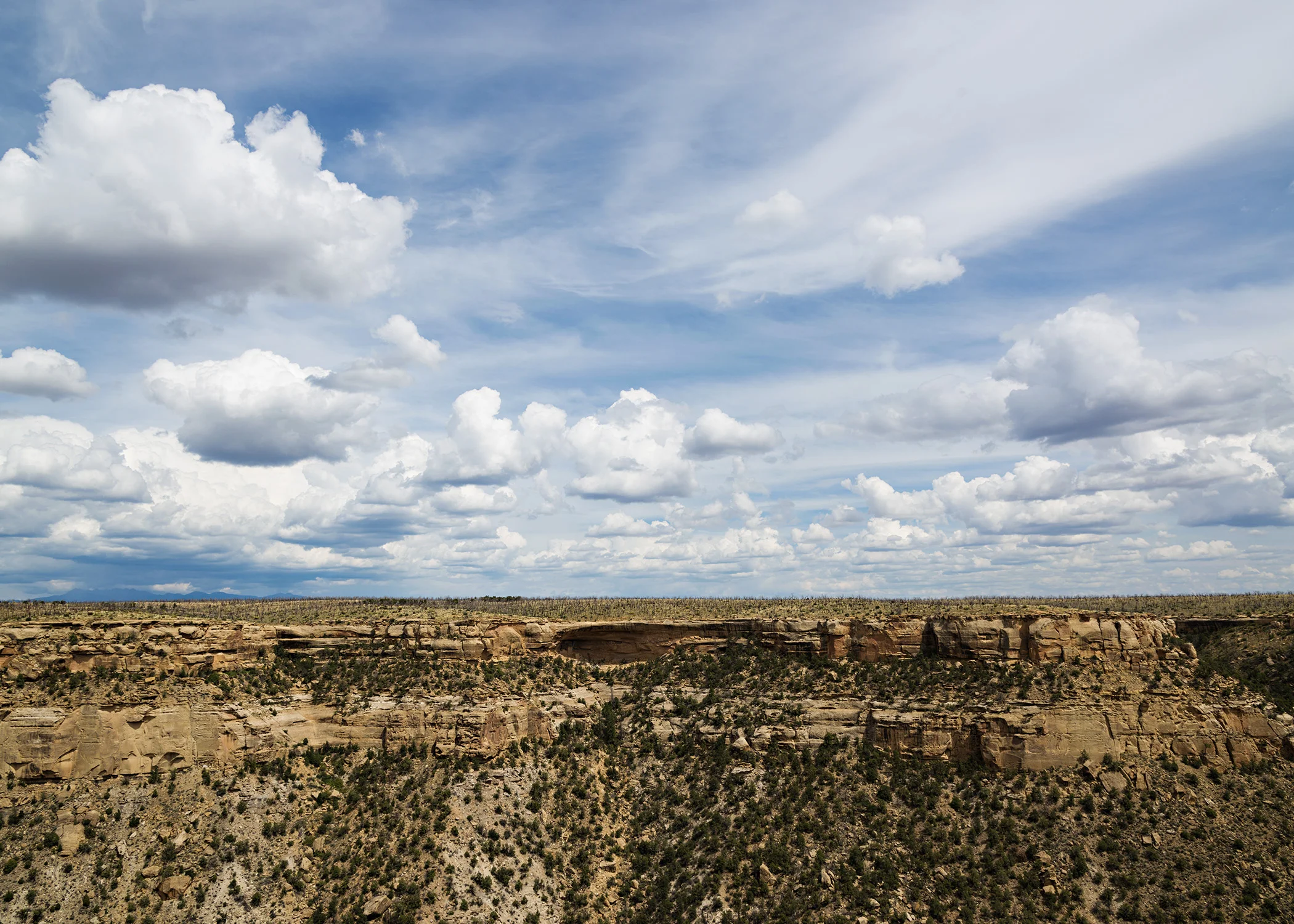 D8F_9335.jpg