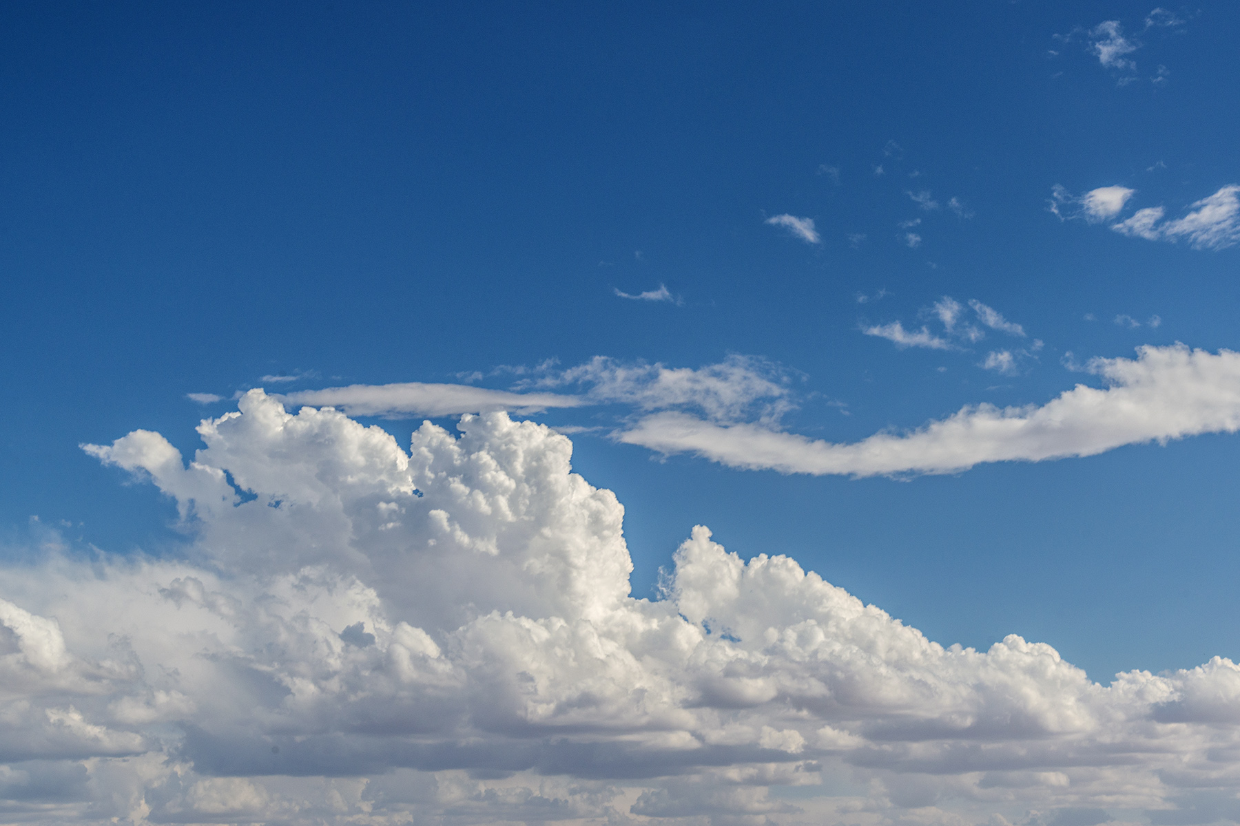 D8F_9422.jpg